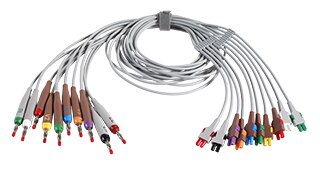 Diagnostic Cardiology Accessories