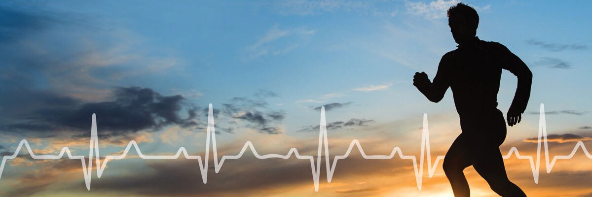 Cardioday Holter Ecg Software Ge Healthcare