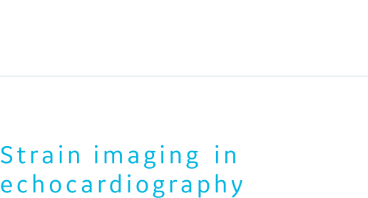 vivid-learning-title