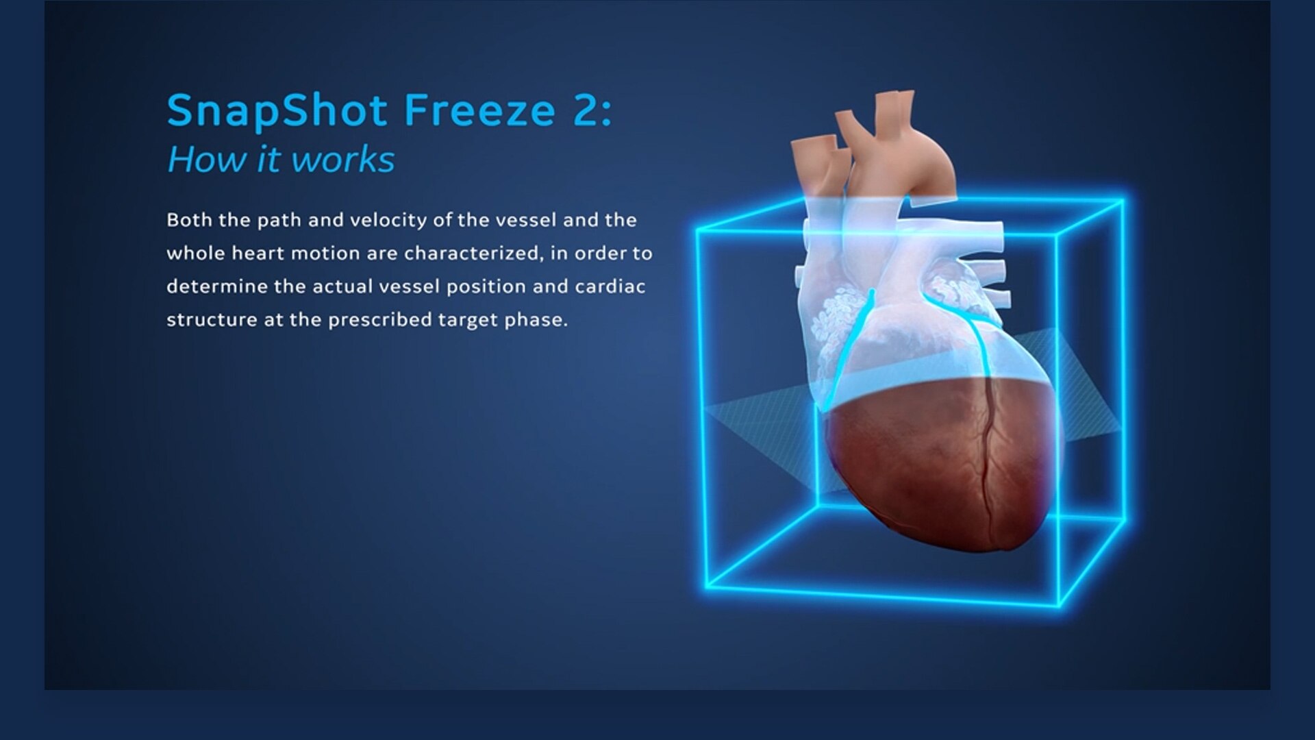 Freeze 2. hotsell