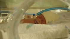 maternal infant care giraffe stories preemie care cari thomas.