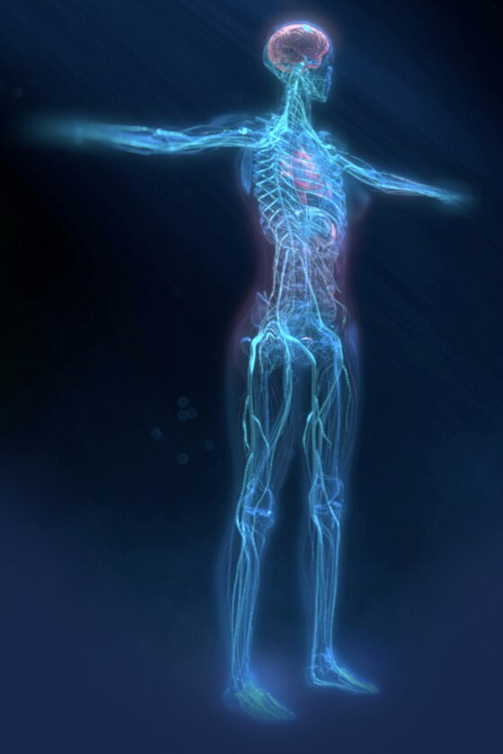 product-product-categories-magnetic-resonance-imaging-signa lift-Explorer System.png