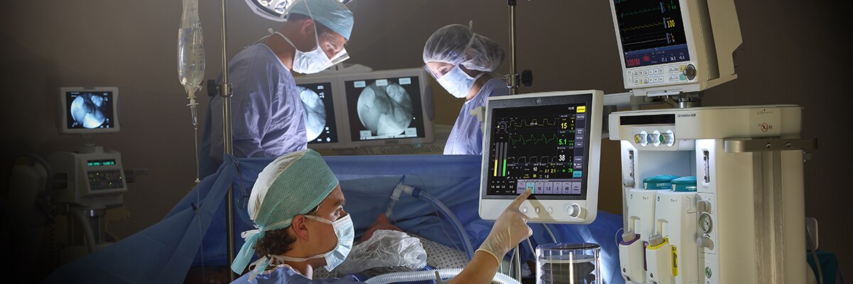 product-product-categories-anesthesia-delivery-carestation 600-new-hero-1.jpg
