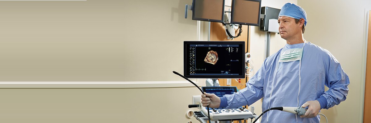 Difference Between Vivid S70 And Vivid S70n Difference Between Vivid S70 And Vivid S70n