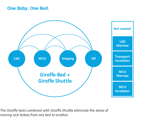 Giraffe Shuttle Infographic