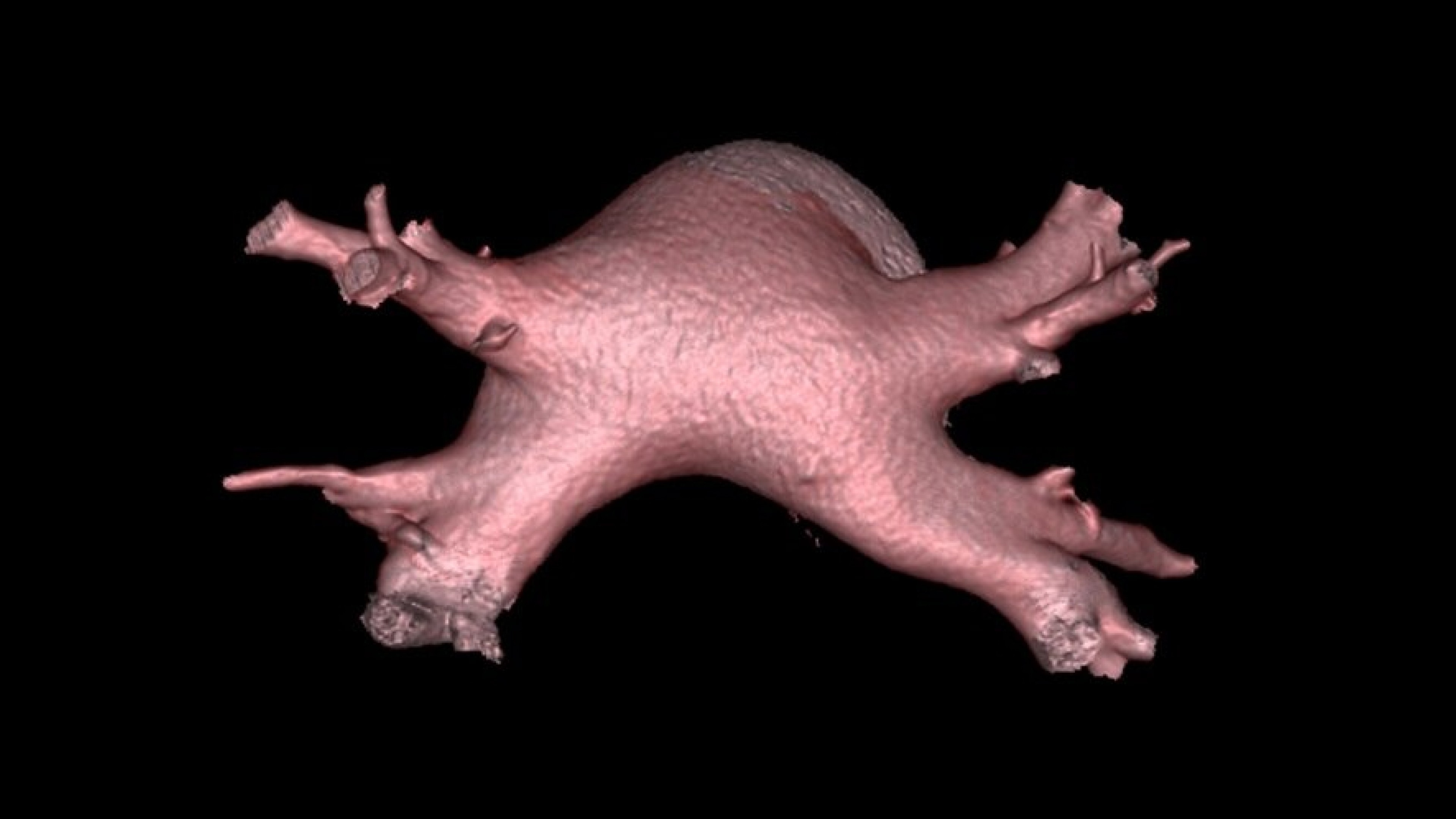 Product Media Carousel Image