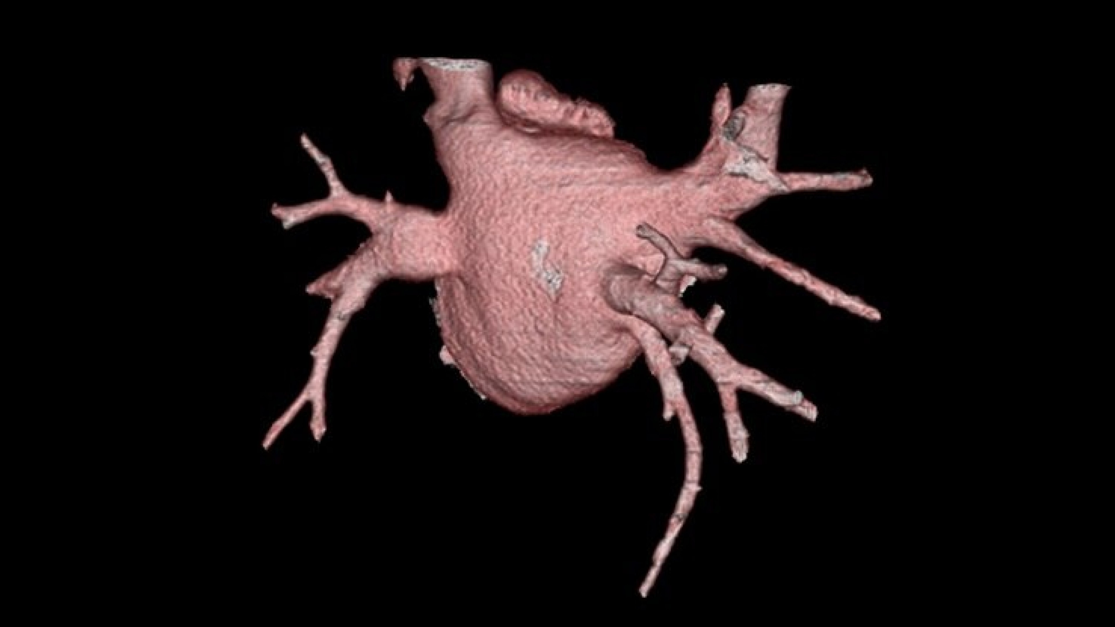 Product Media Carousel Image