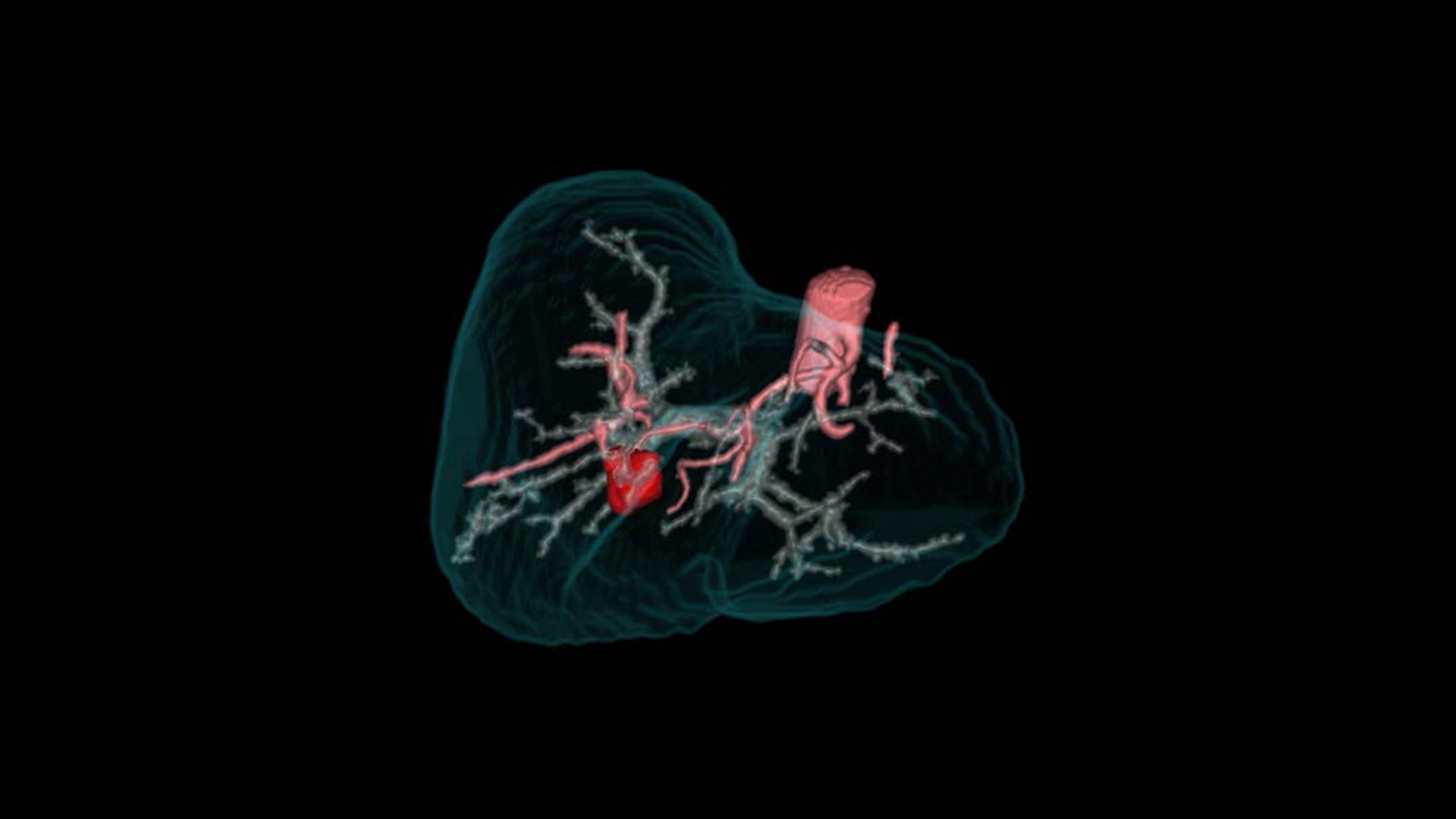 Product Media Carousel Image