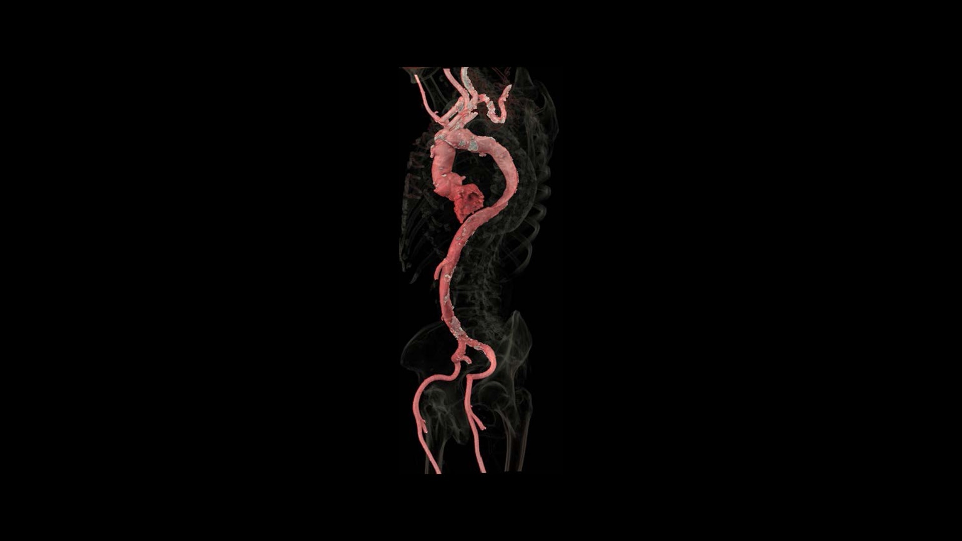 Product Media Carousel Image