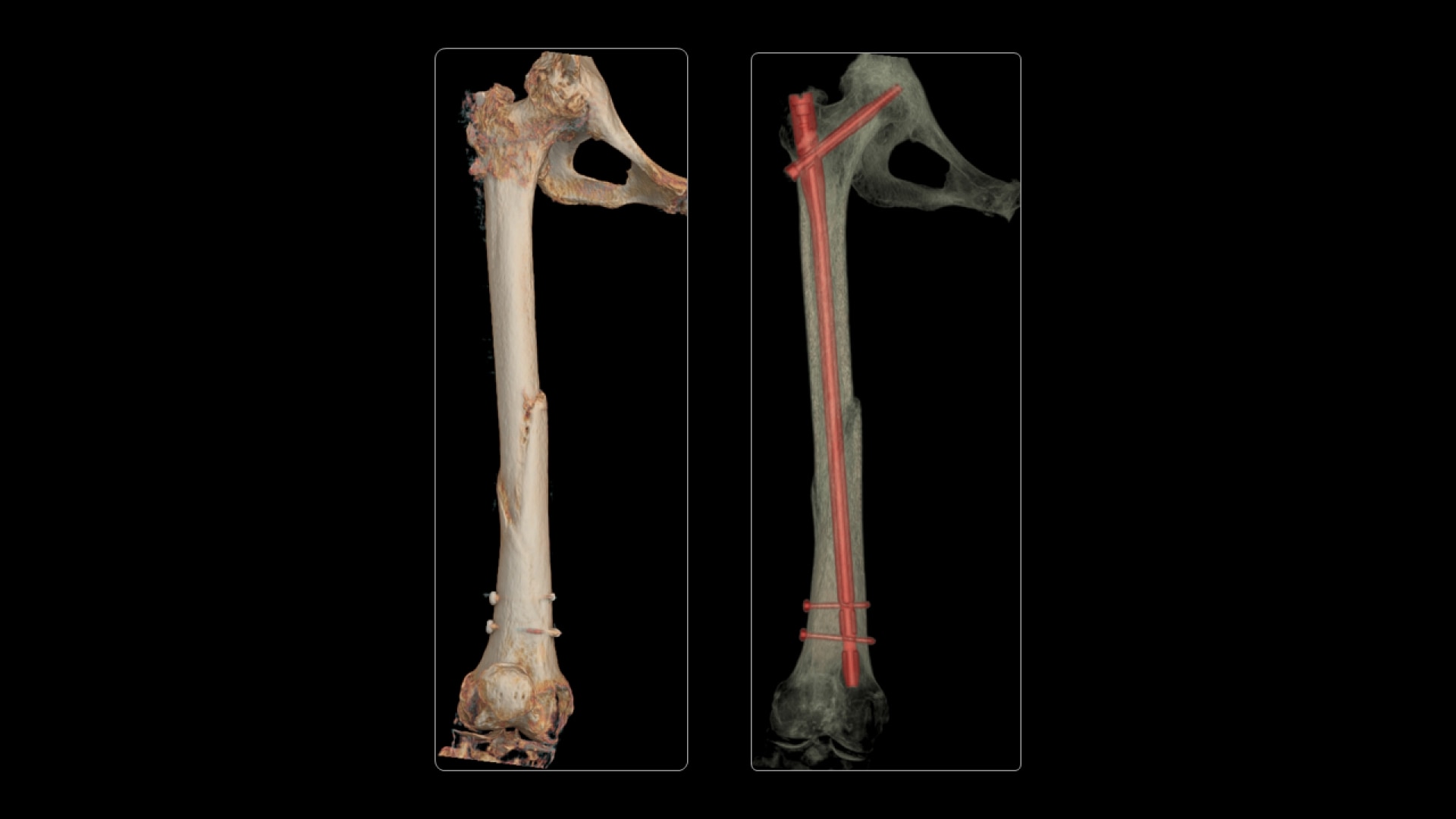 Product Media Carousel Image