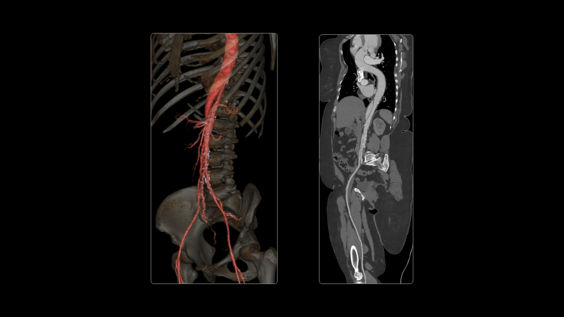 Product Media Carousel Image