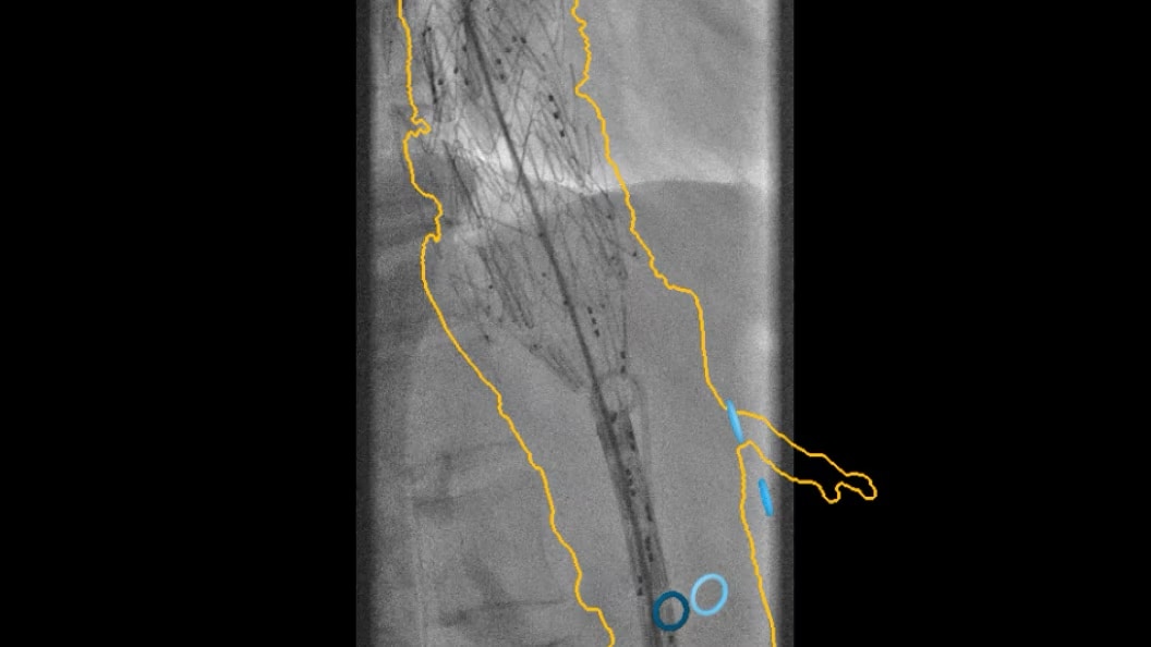 Product Media Carousel Image