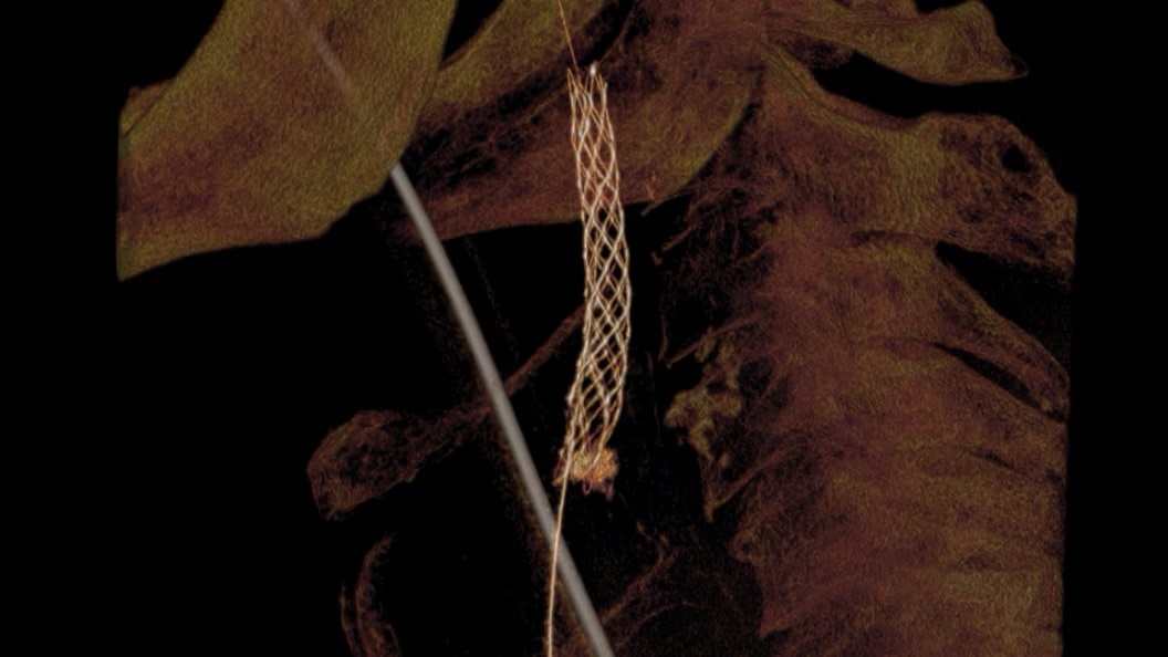 Product Media Carousel Image