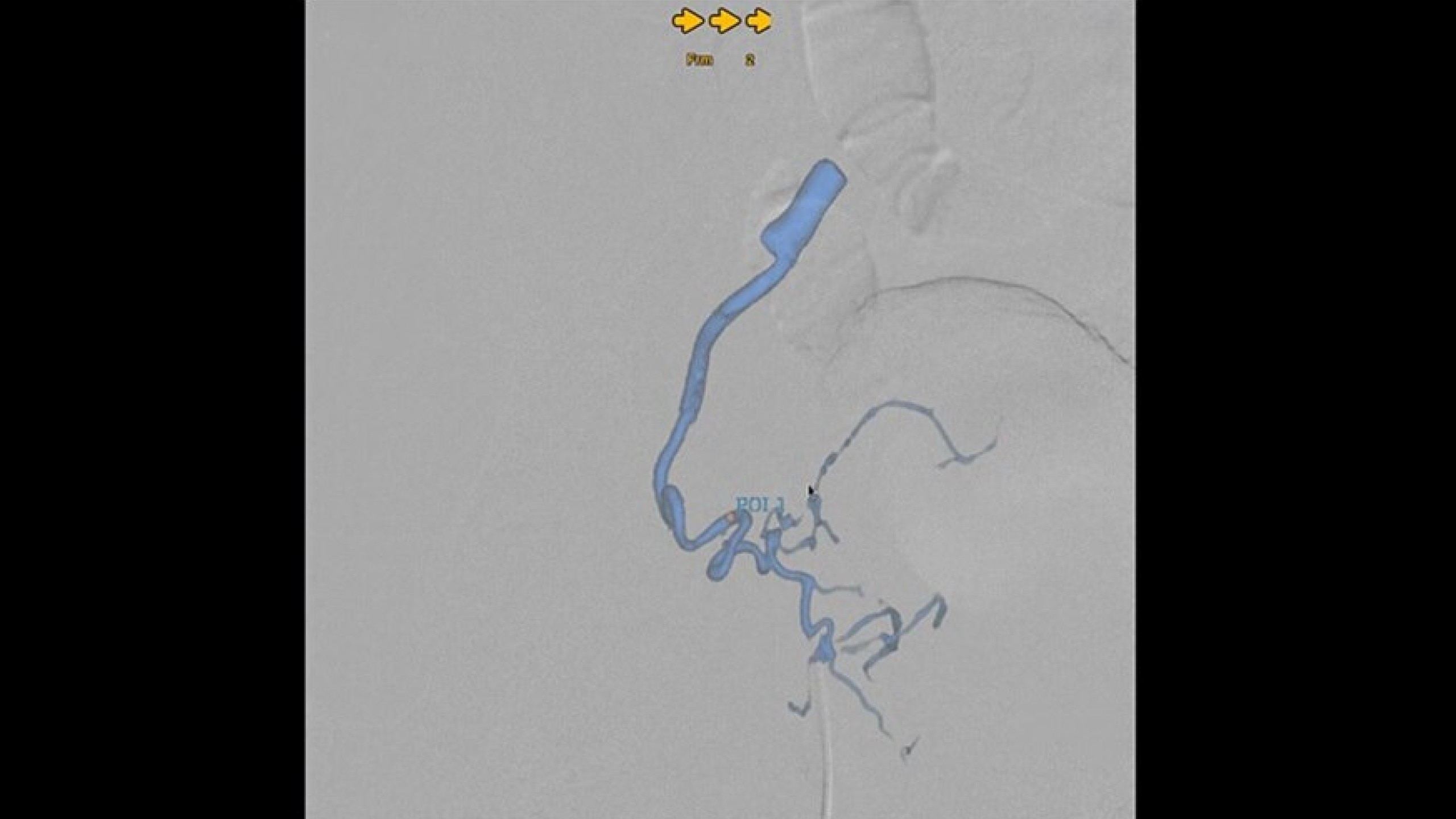 Product Media Carousel Image