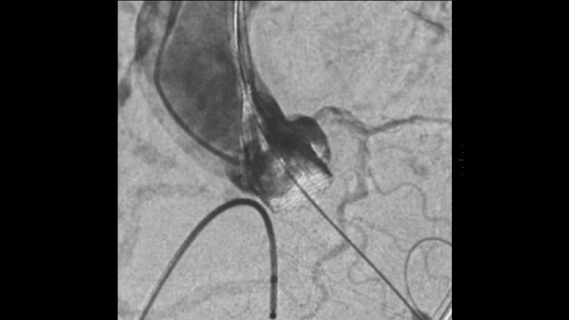 Product Media Carousel Image