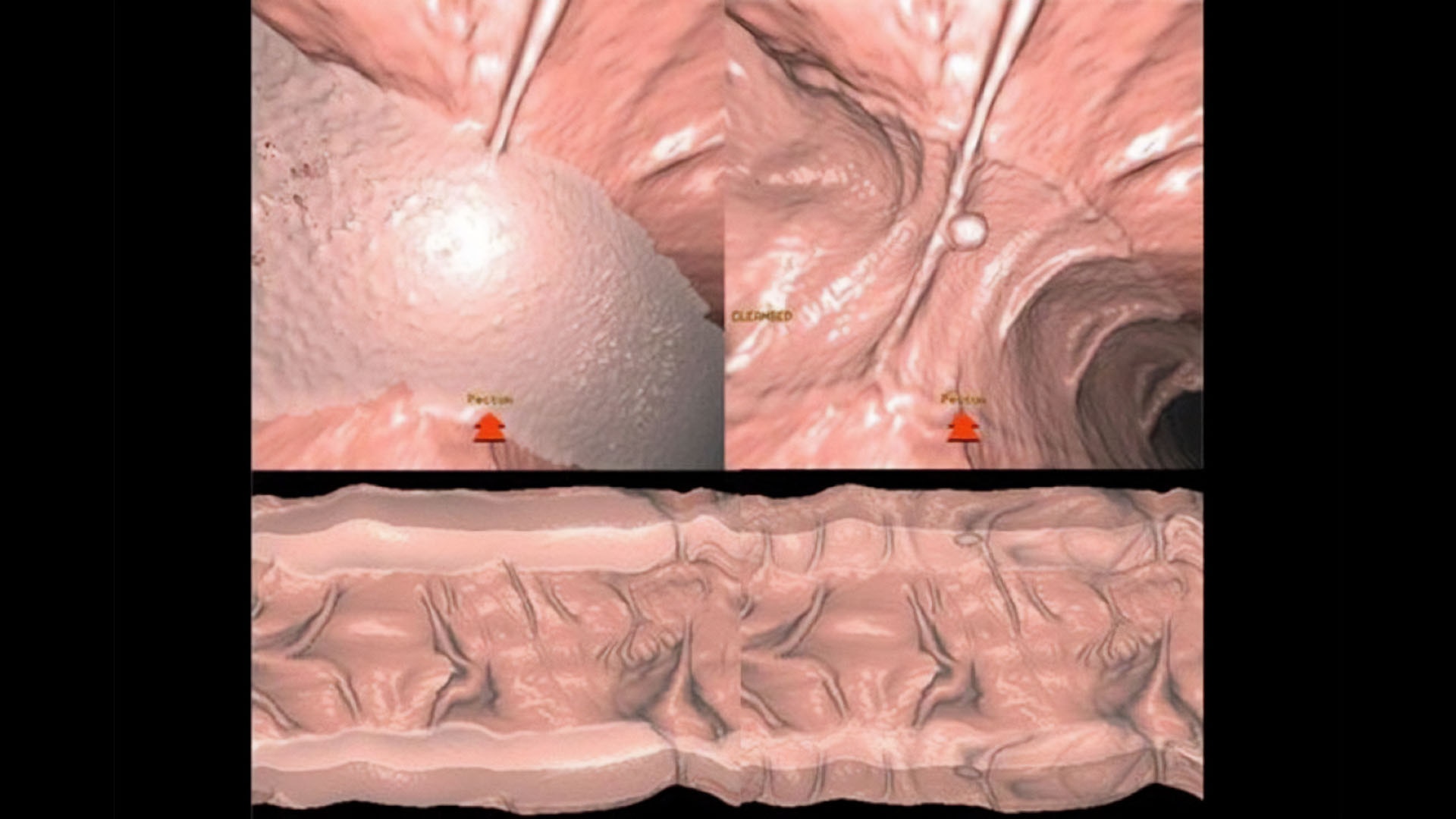 Product Media Carousel Image