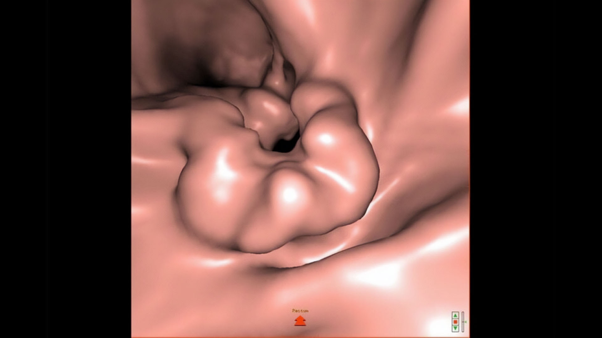 Product Media Carousel Image