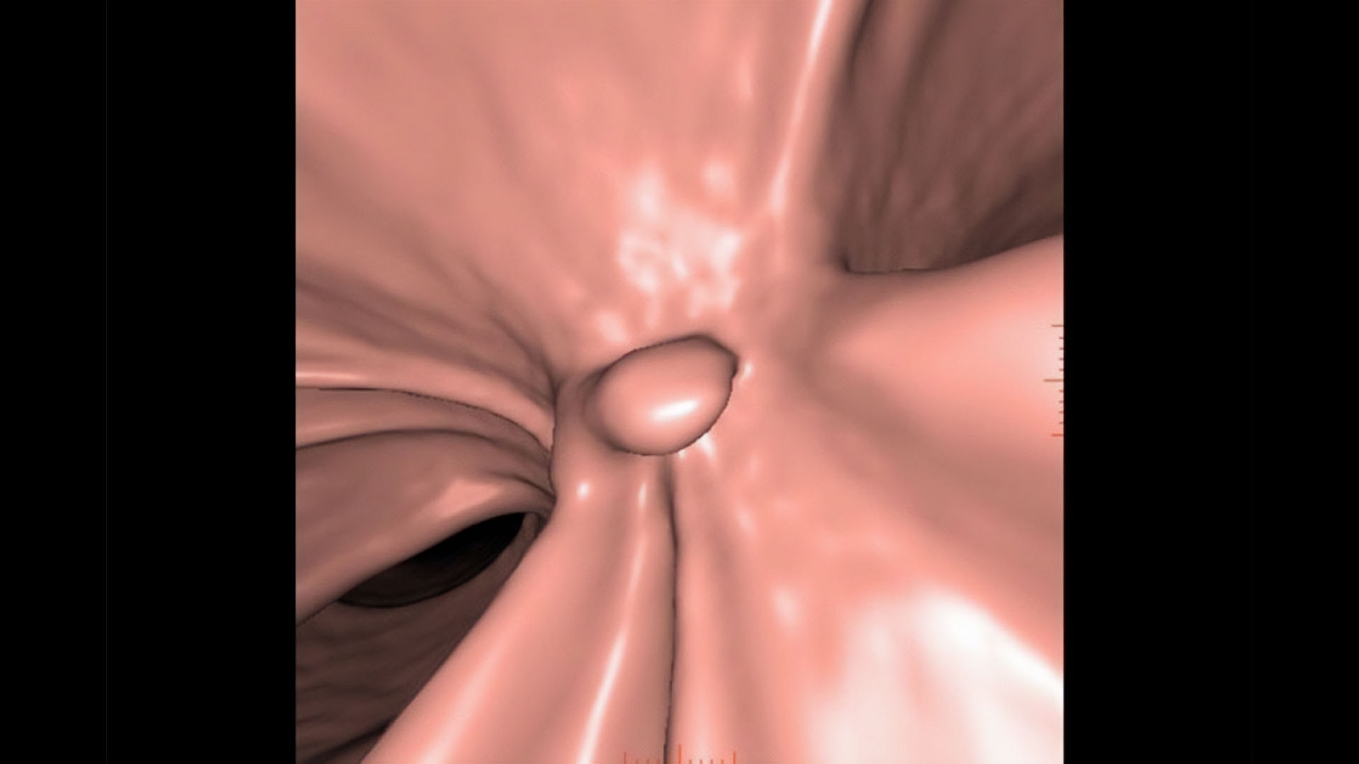 Product Media Carousel Image