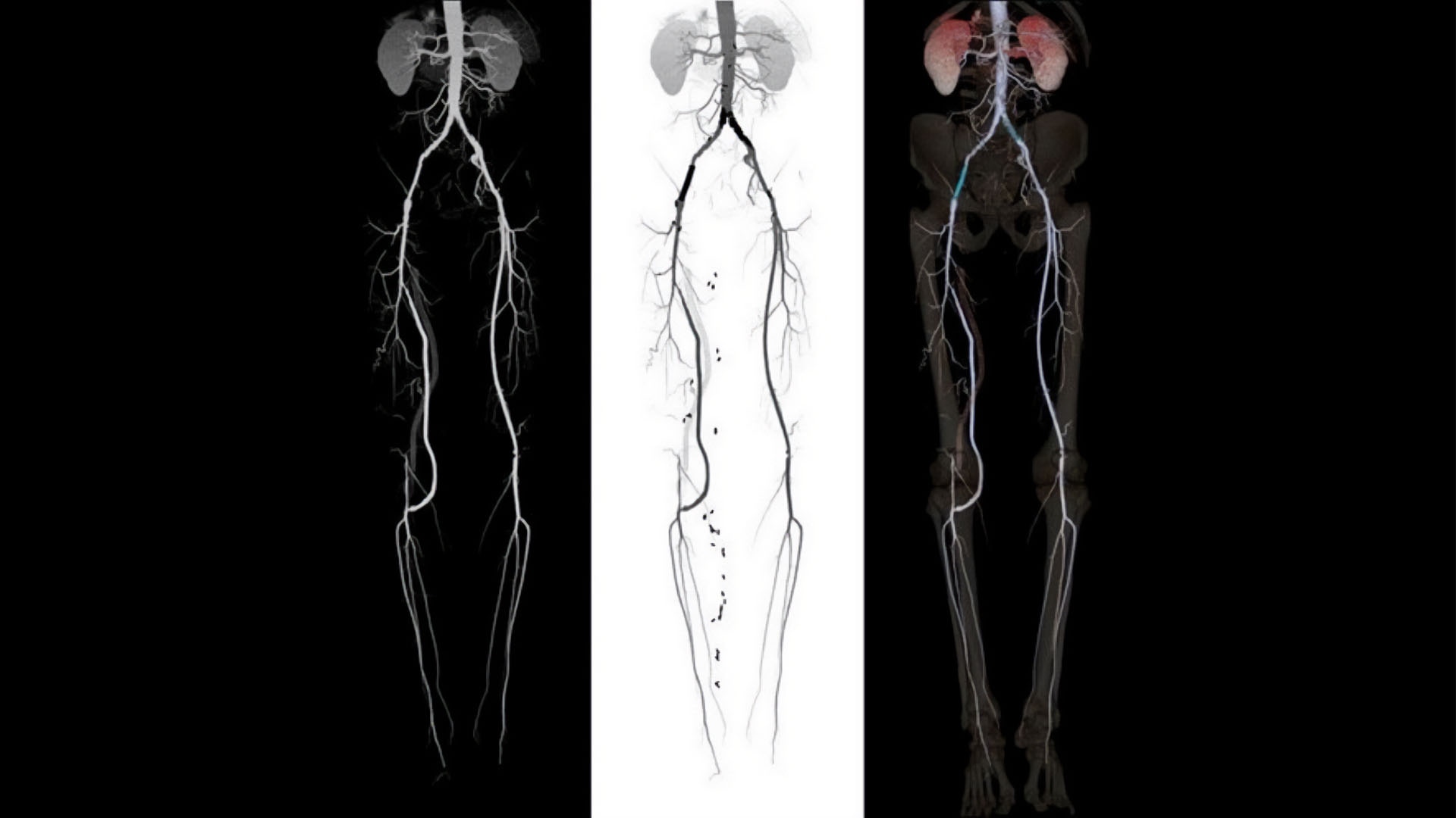 Product Media Carousel Image