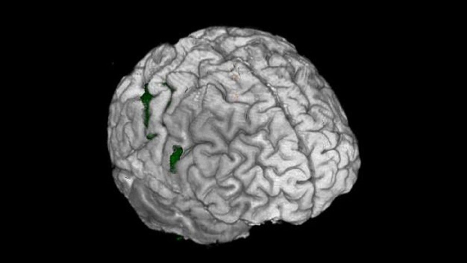 Product Media Carousel Image