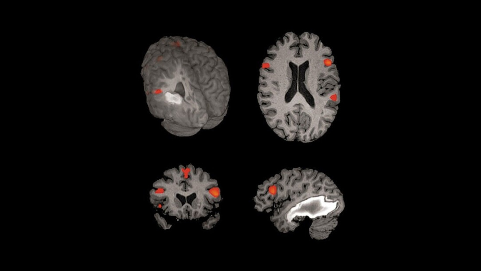 Product Media Carousel Image