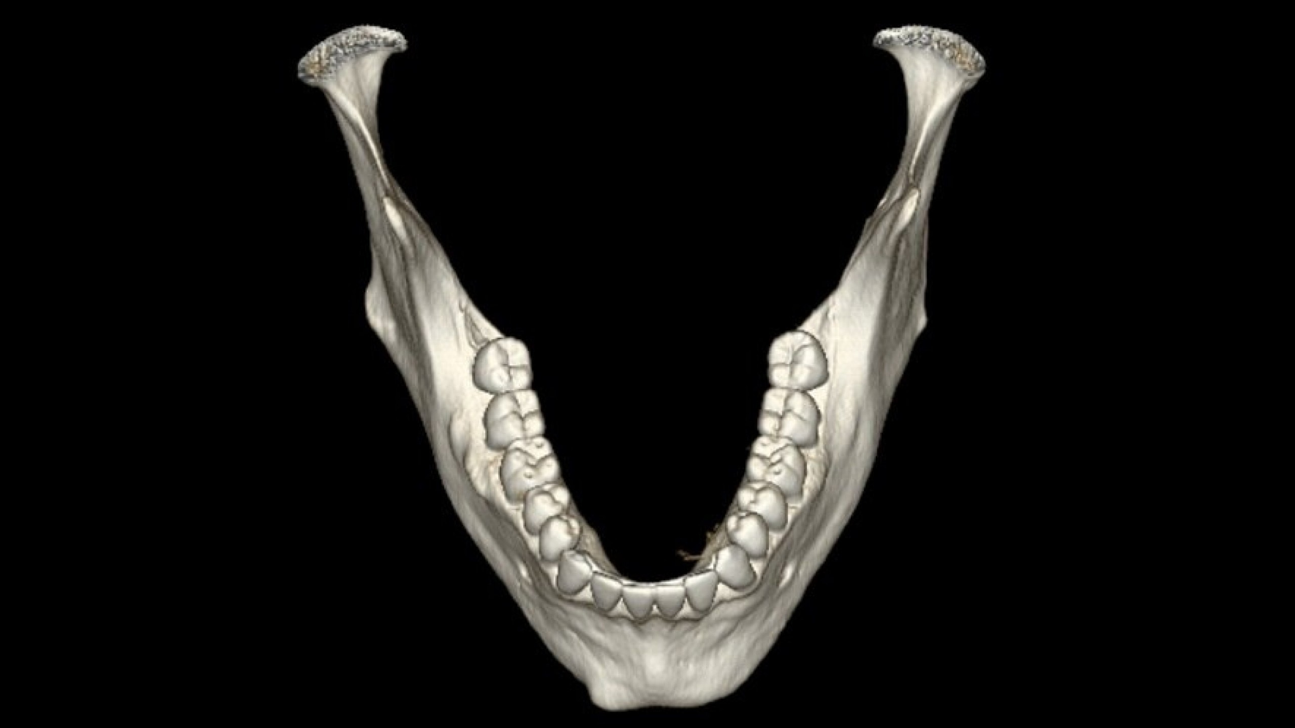 Product Media Carousel Image