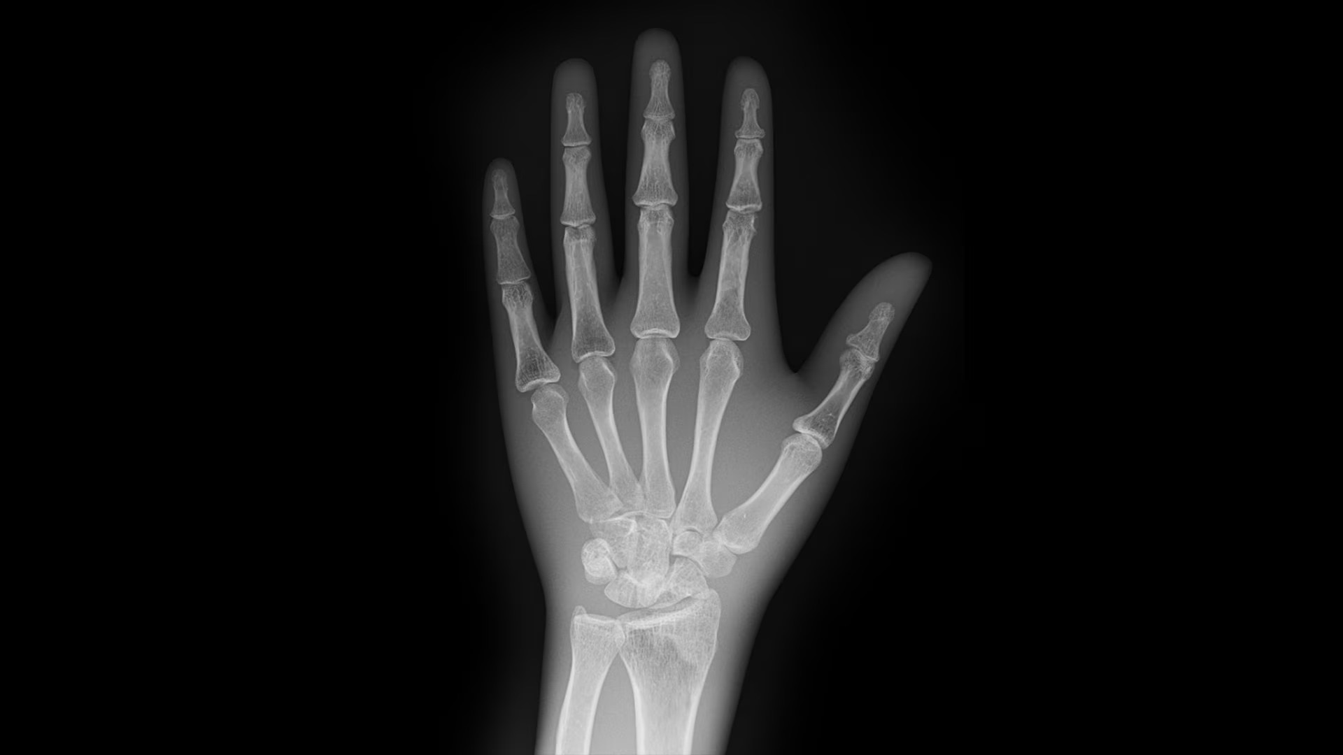 Product Media Carousel Image