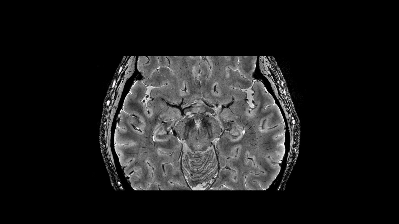 Product Media Carousel Image