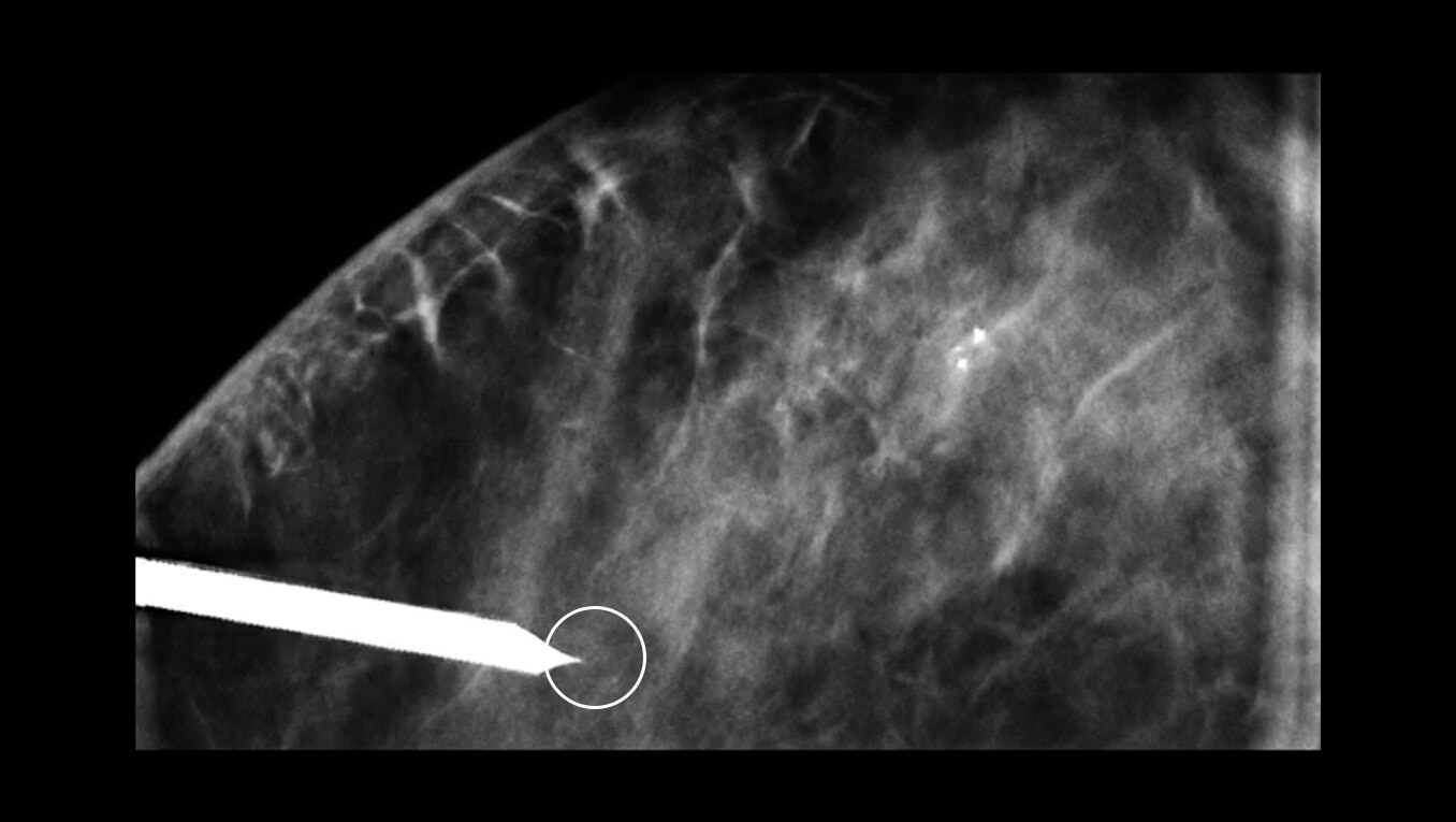 Product Media Carousel Image