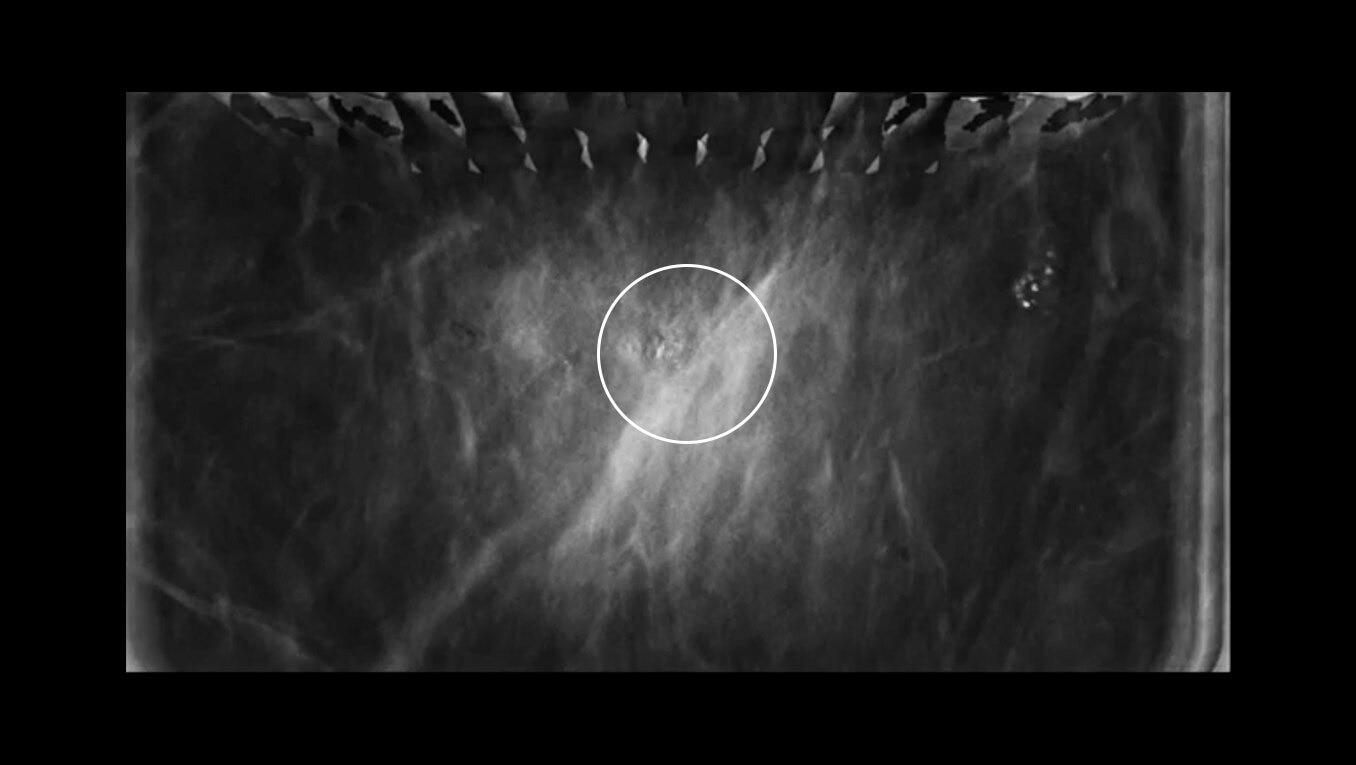 Product Media Carousel Image