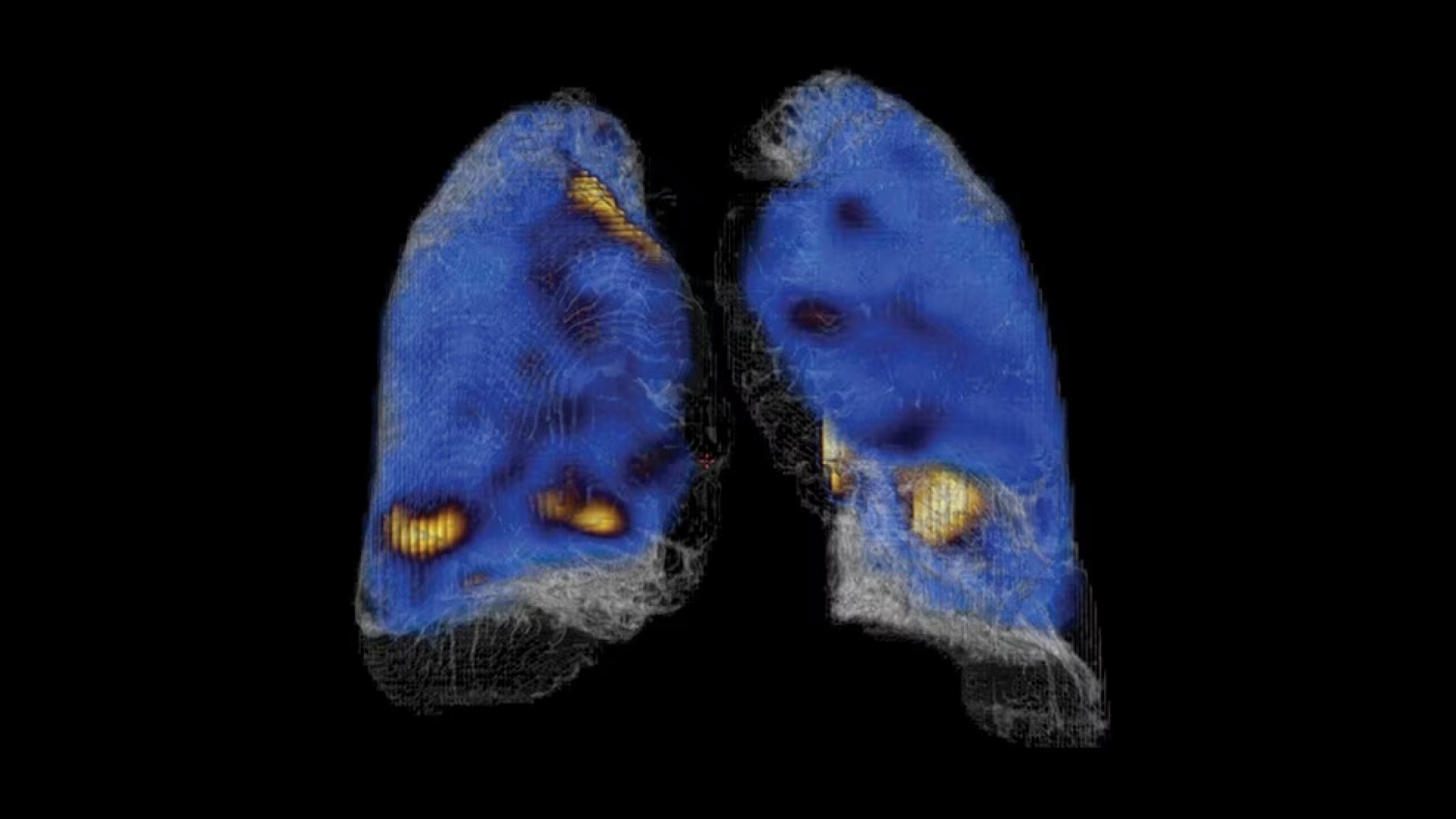 Product Media Carousel Image