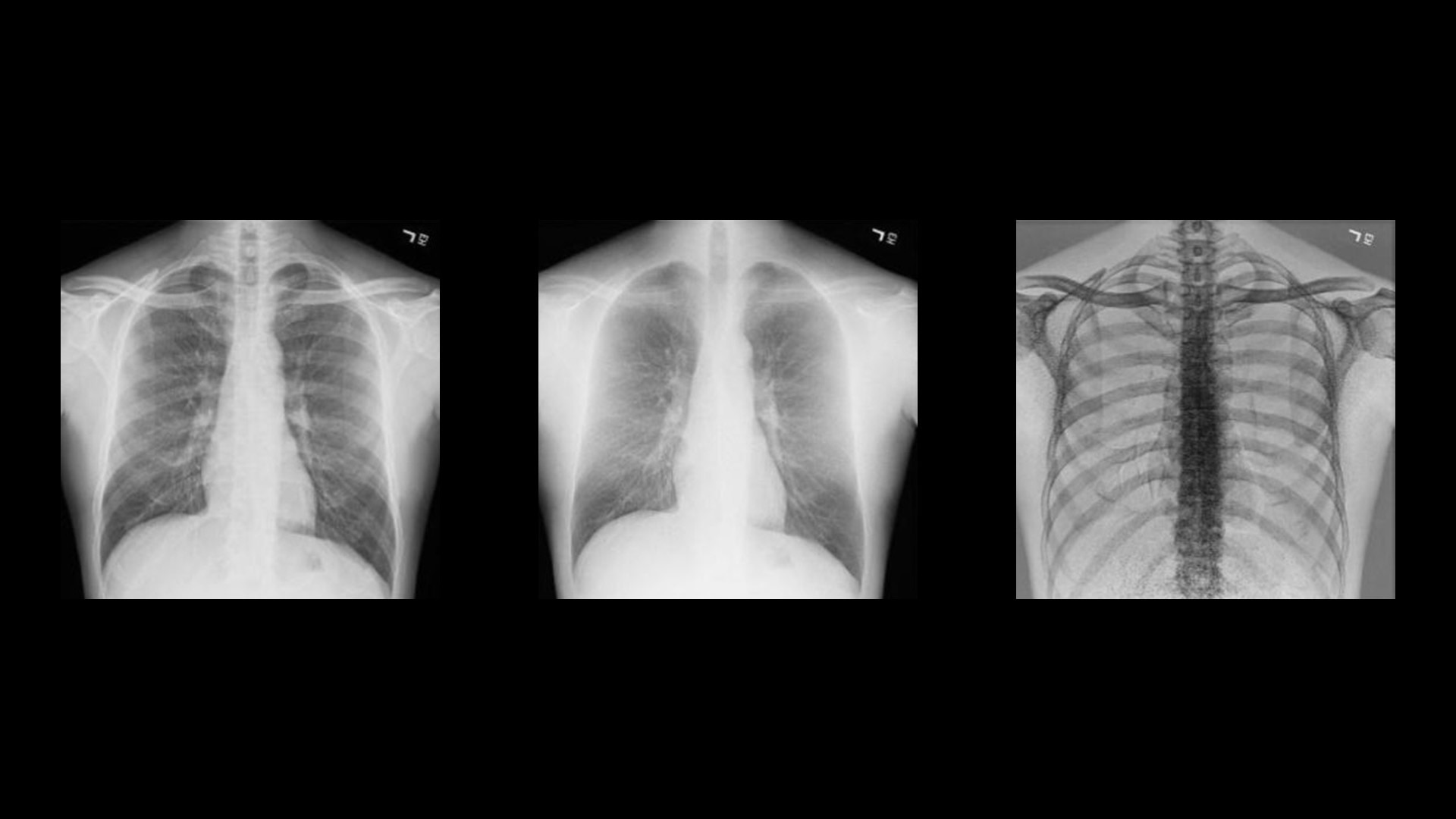 Product Media Carousel Image