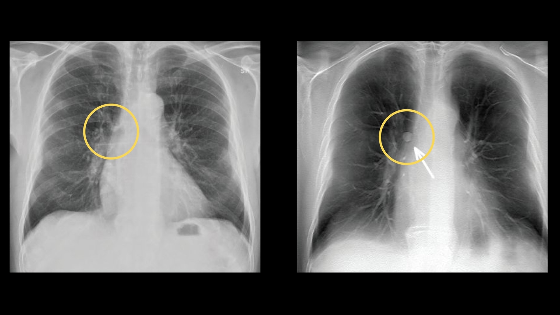 Product Media Carousel Image