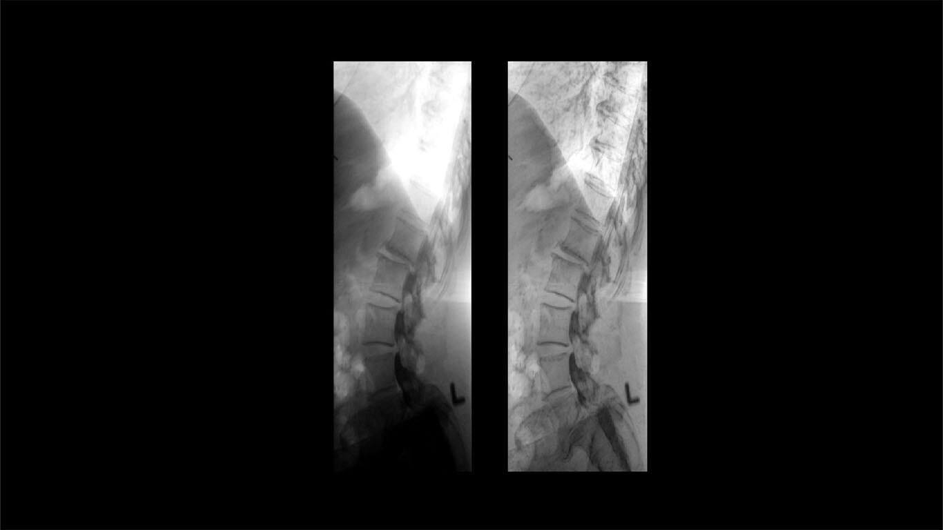 Product Media Carousel Image