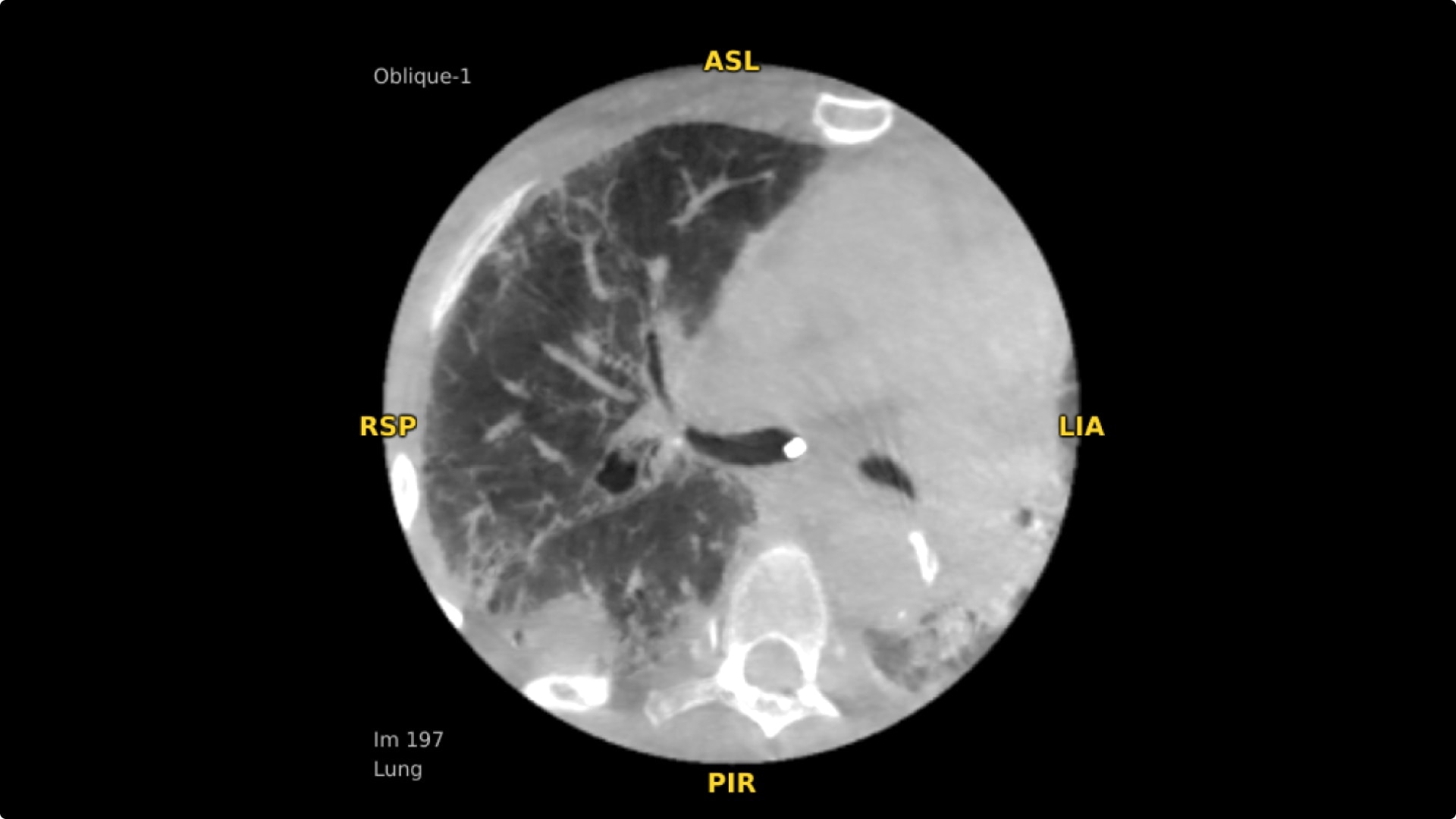 Product Media Carousel Image