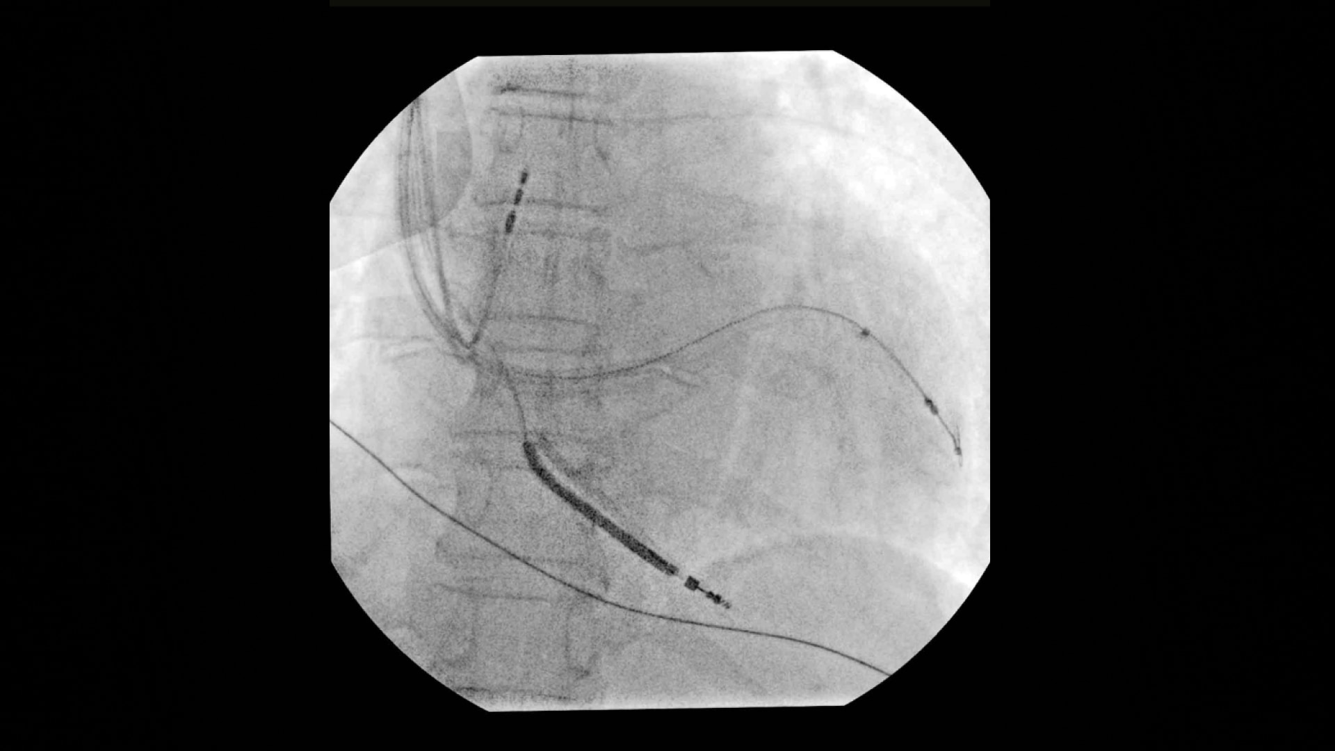 Product Media Carousel Image