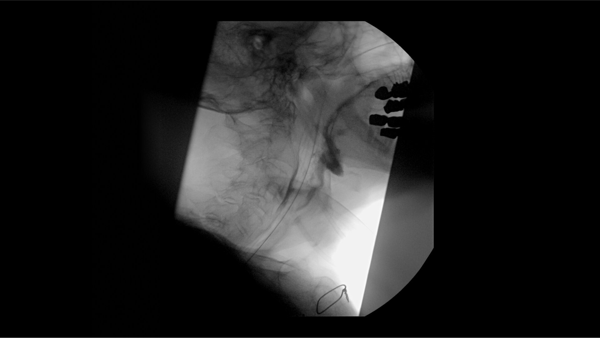 Product Media Carousel Image