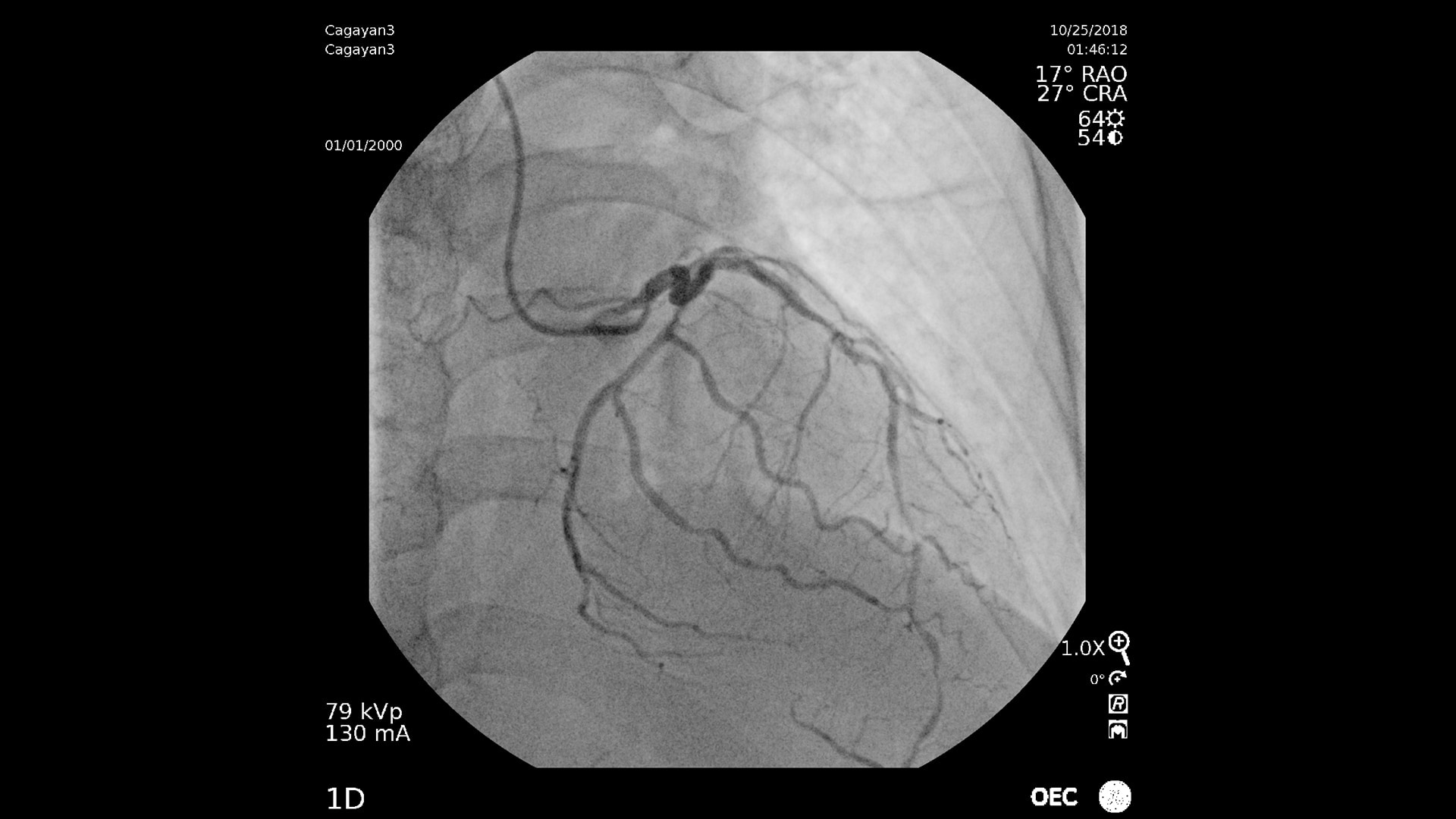 Product Media Carousel Image