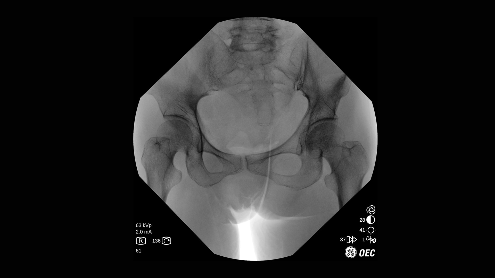 Product Media Carousel Image