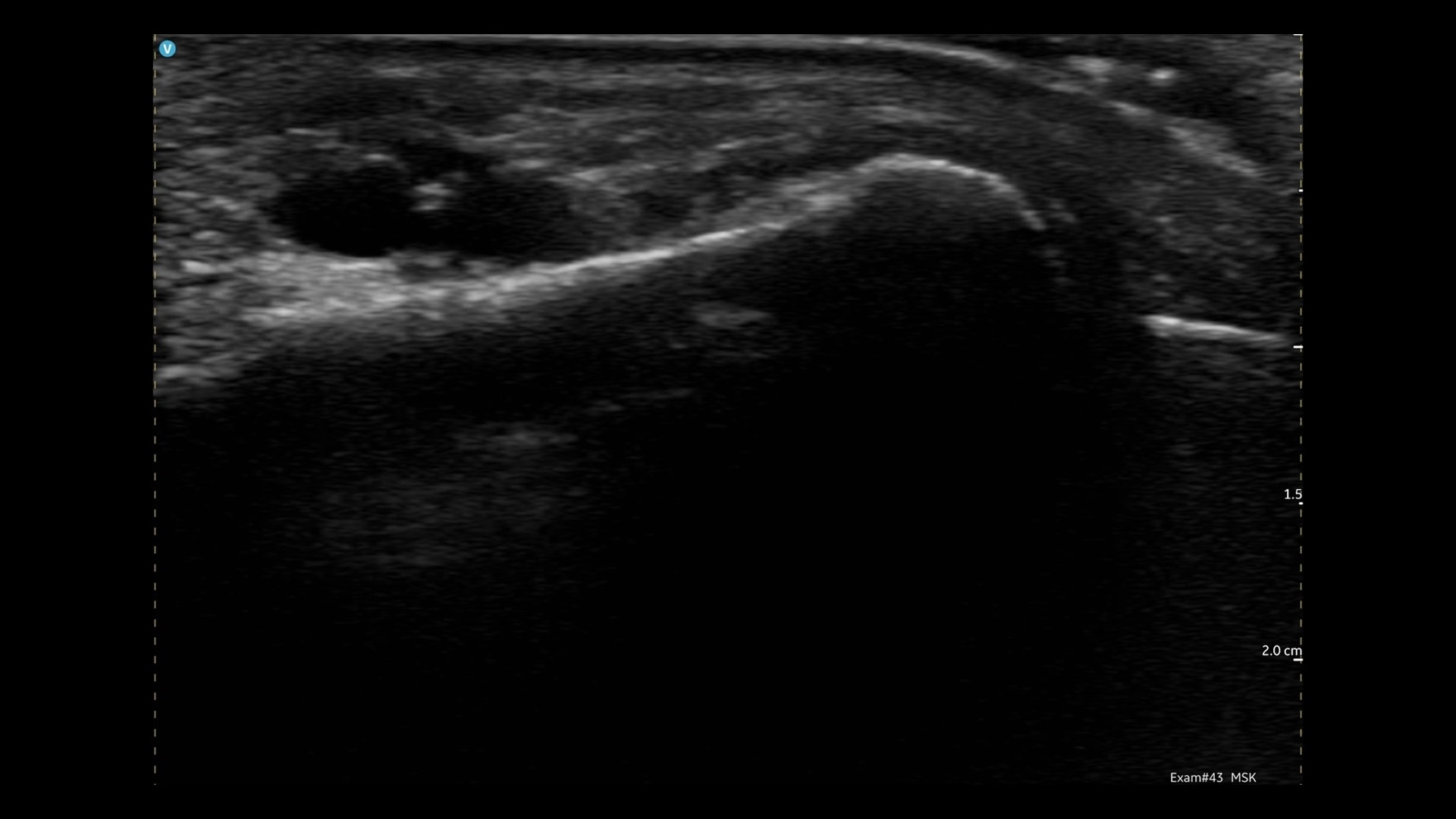 Product Media Carousel Image