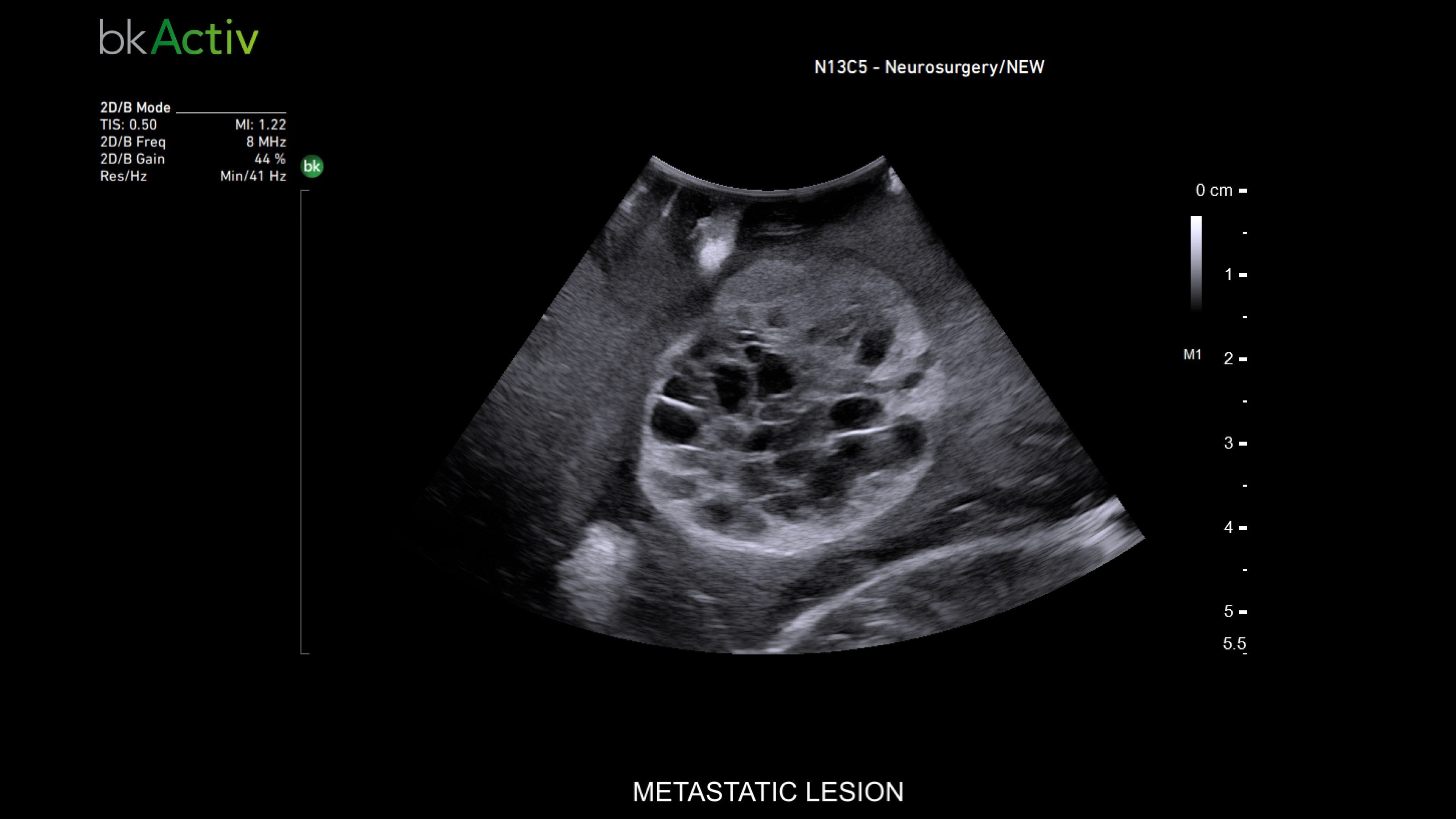 Product Media Carousel Image