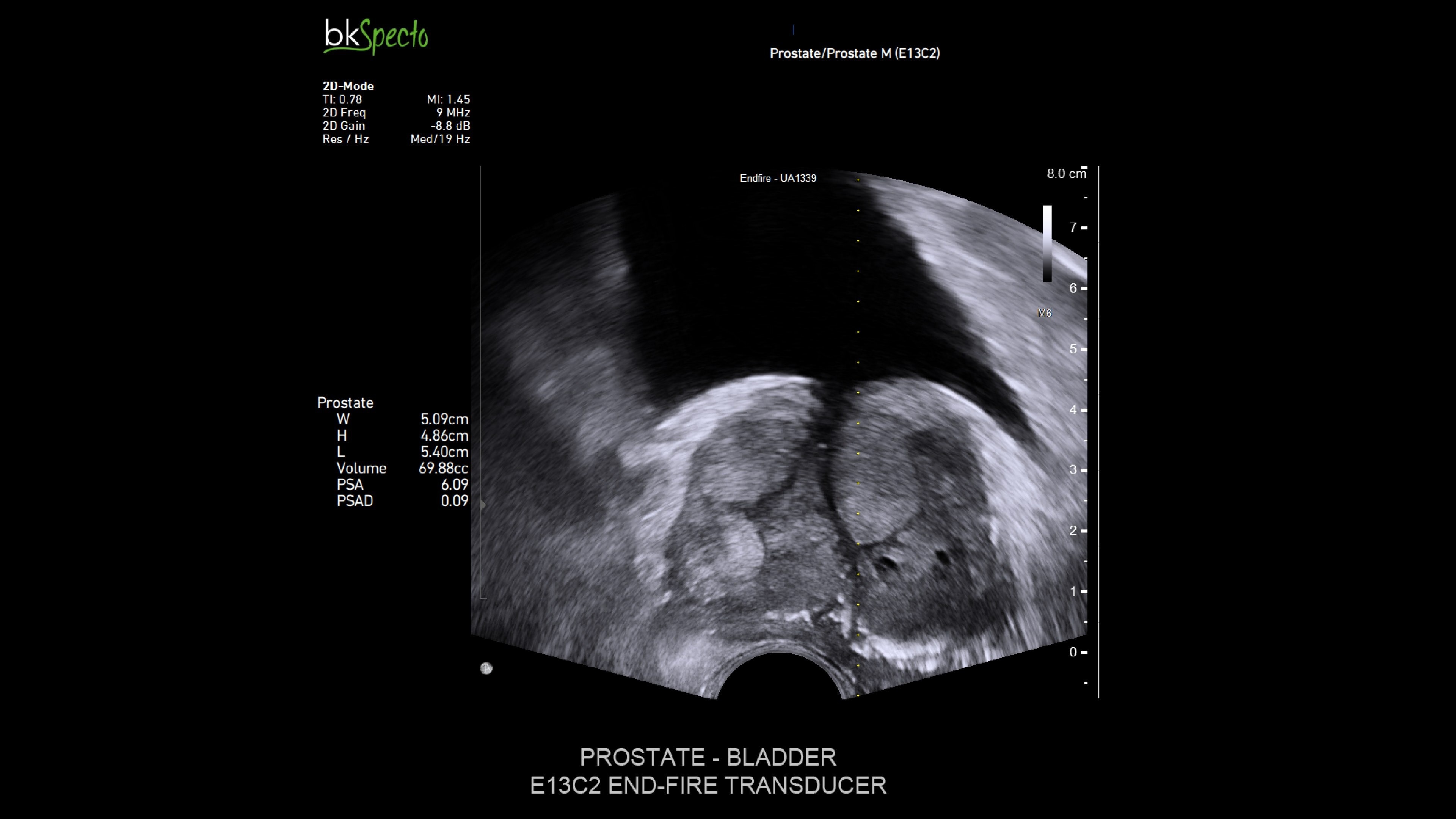Product Media Carousel Image