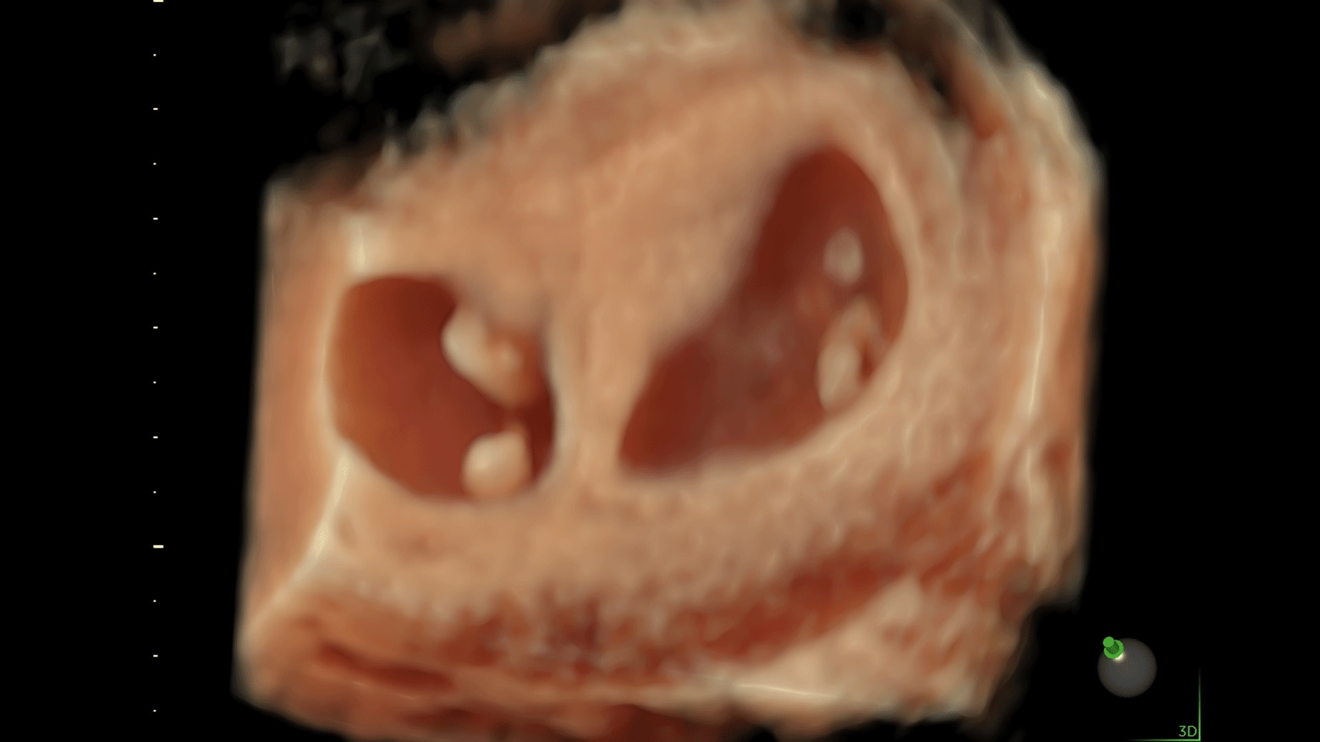 Product Media Carousel Image