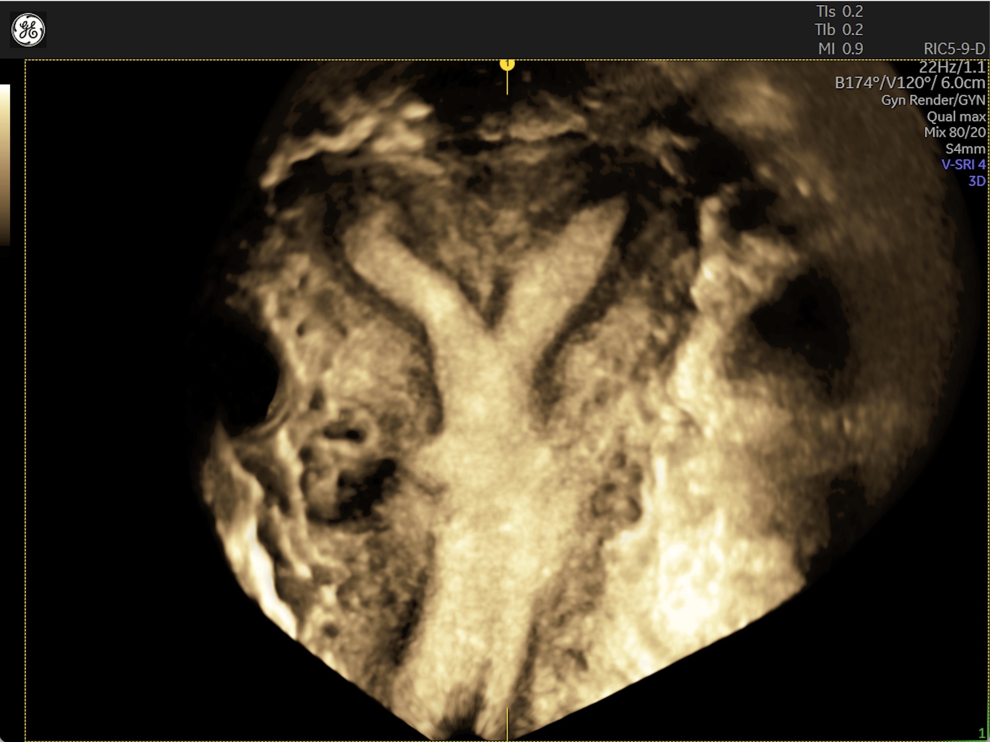 Product Media Carousel Image