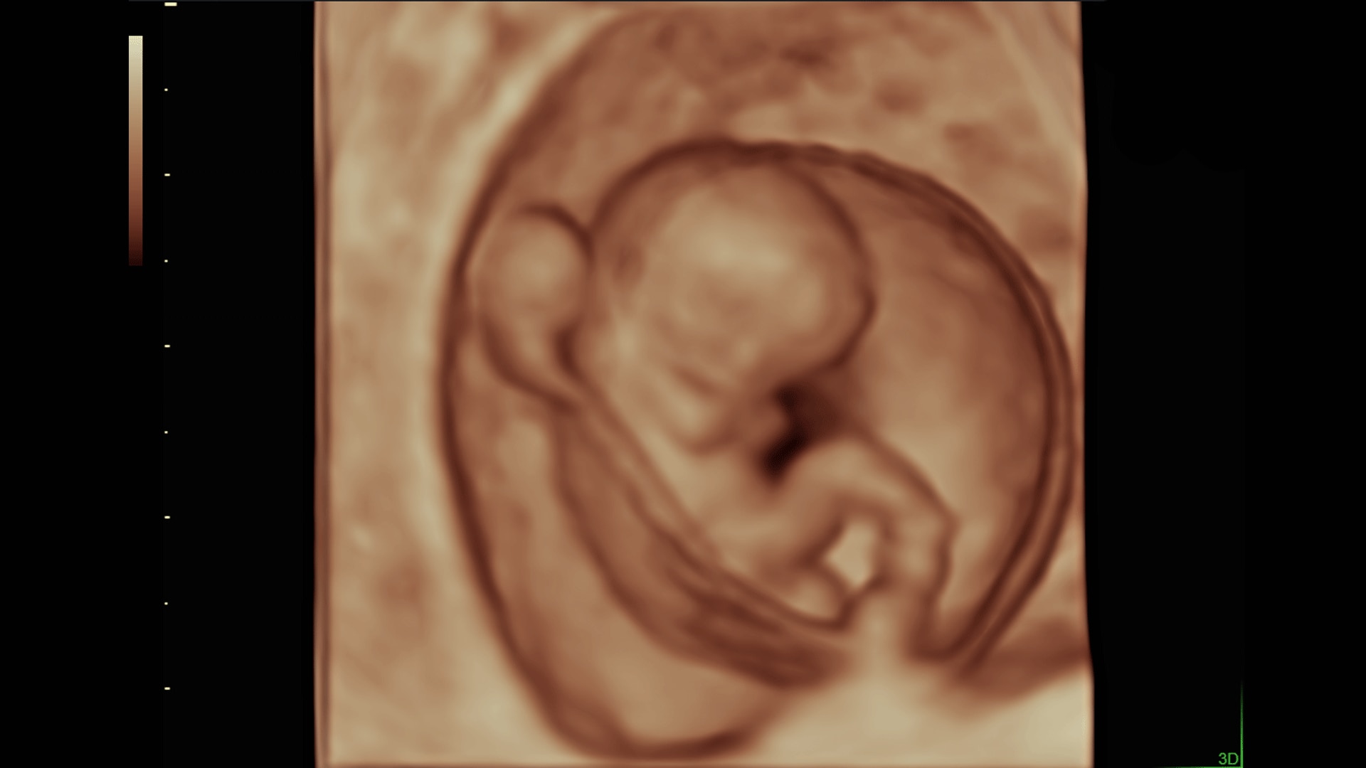 Product Media Carousel Image