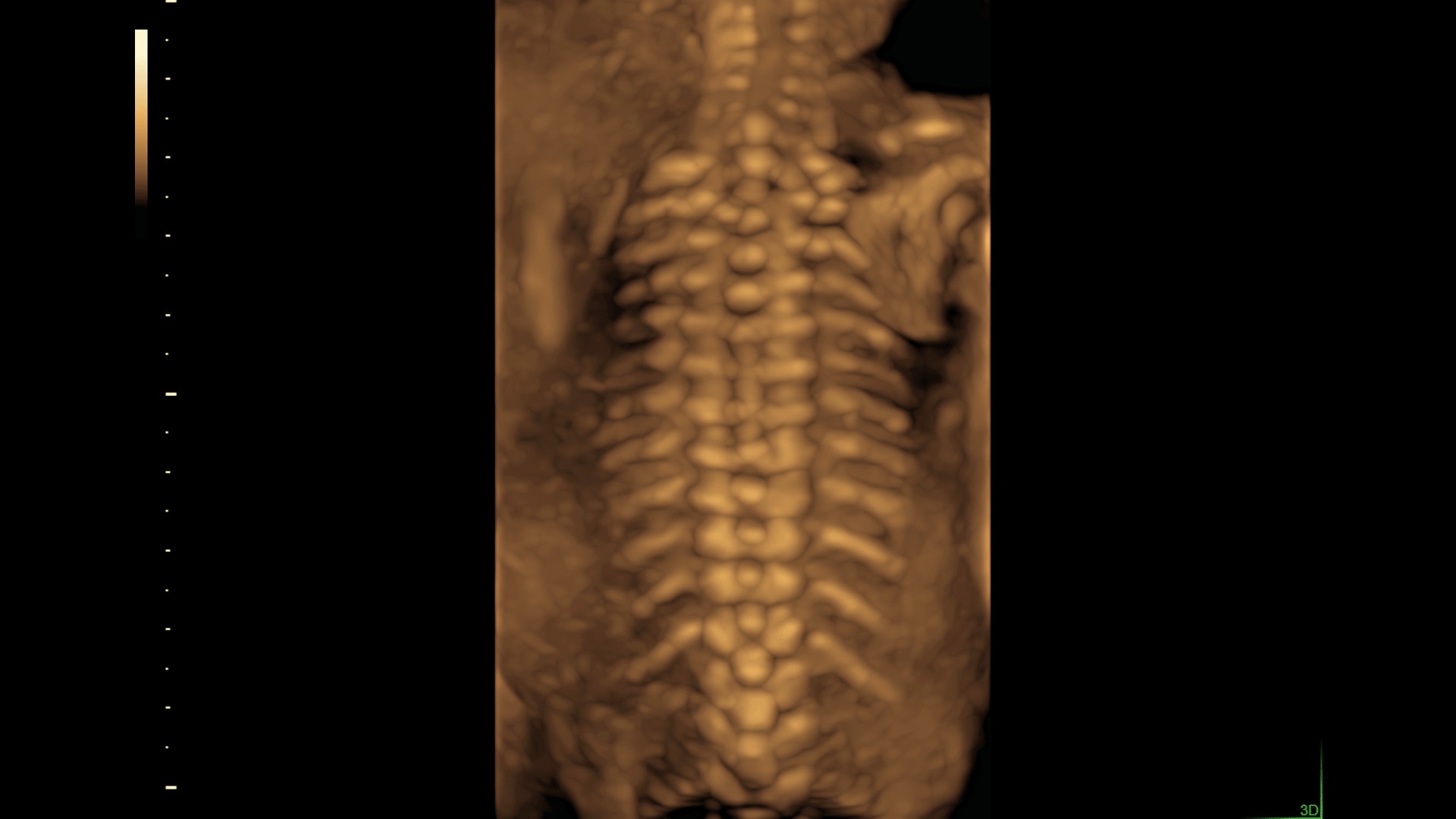 Product Media Carousel Image