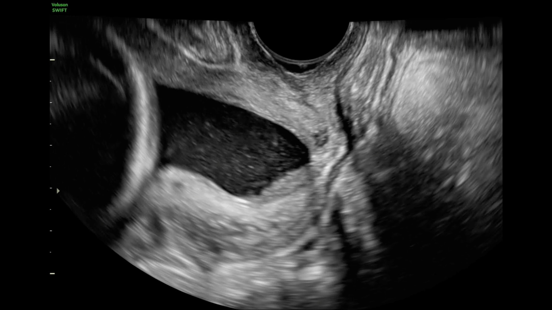 Product Media Carousel Image