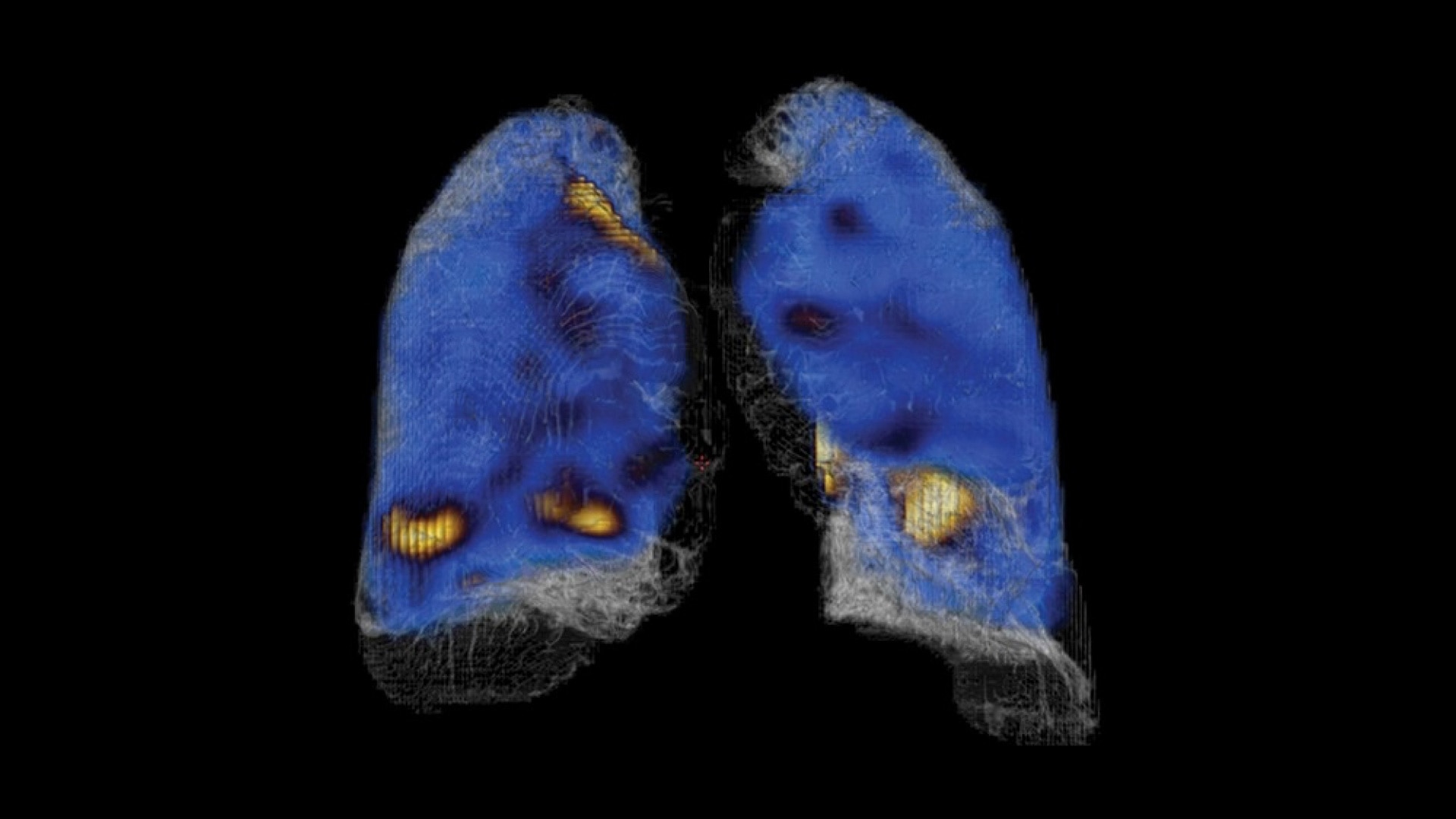 Product Media Carousel Image