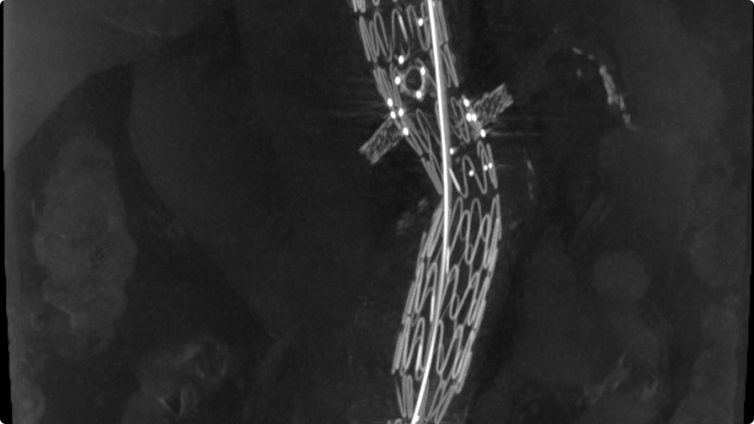 Product Media Carousel Image