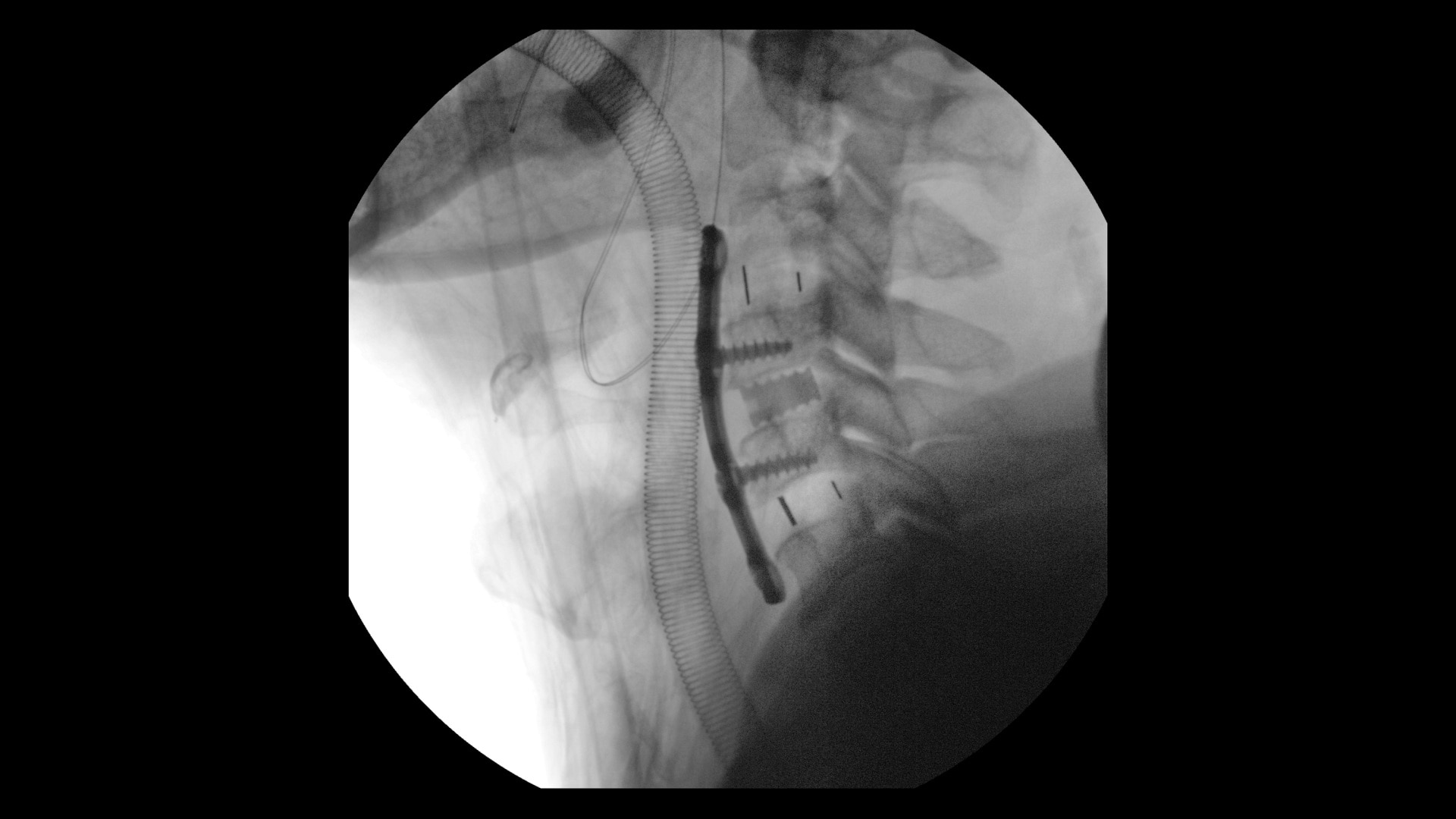 Product Media Carousel Image